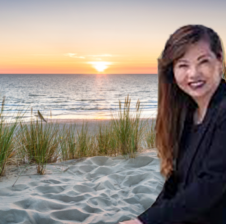 Theresa Wan - Treasurer