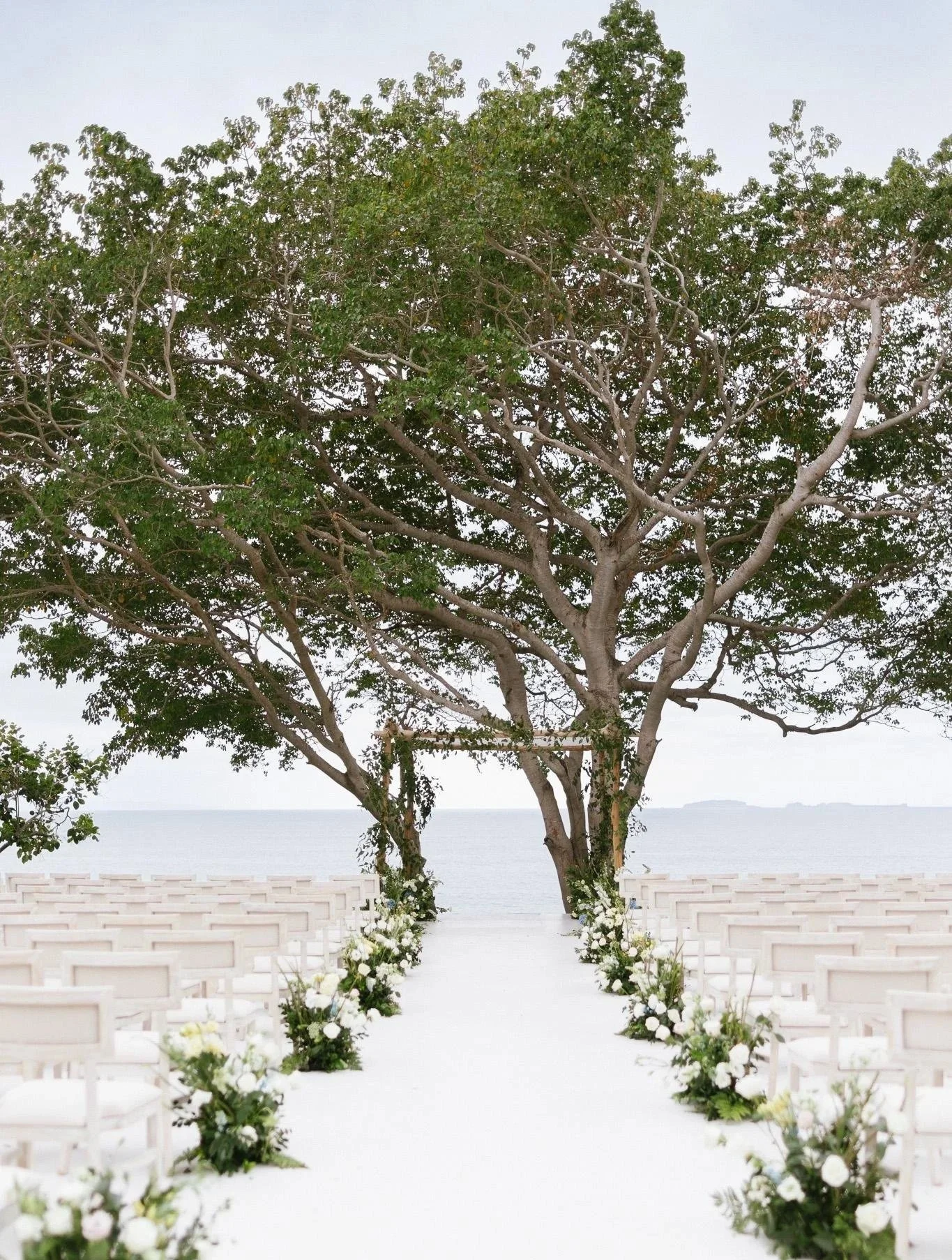 Wedding aisle framed by two trees and grounded white florals facing the ocean in Punta Mita
