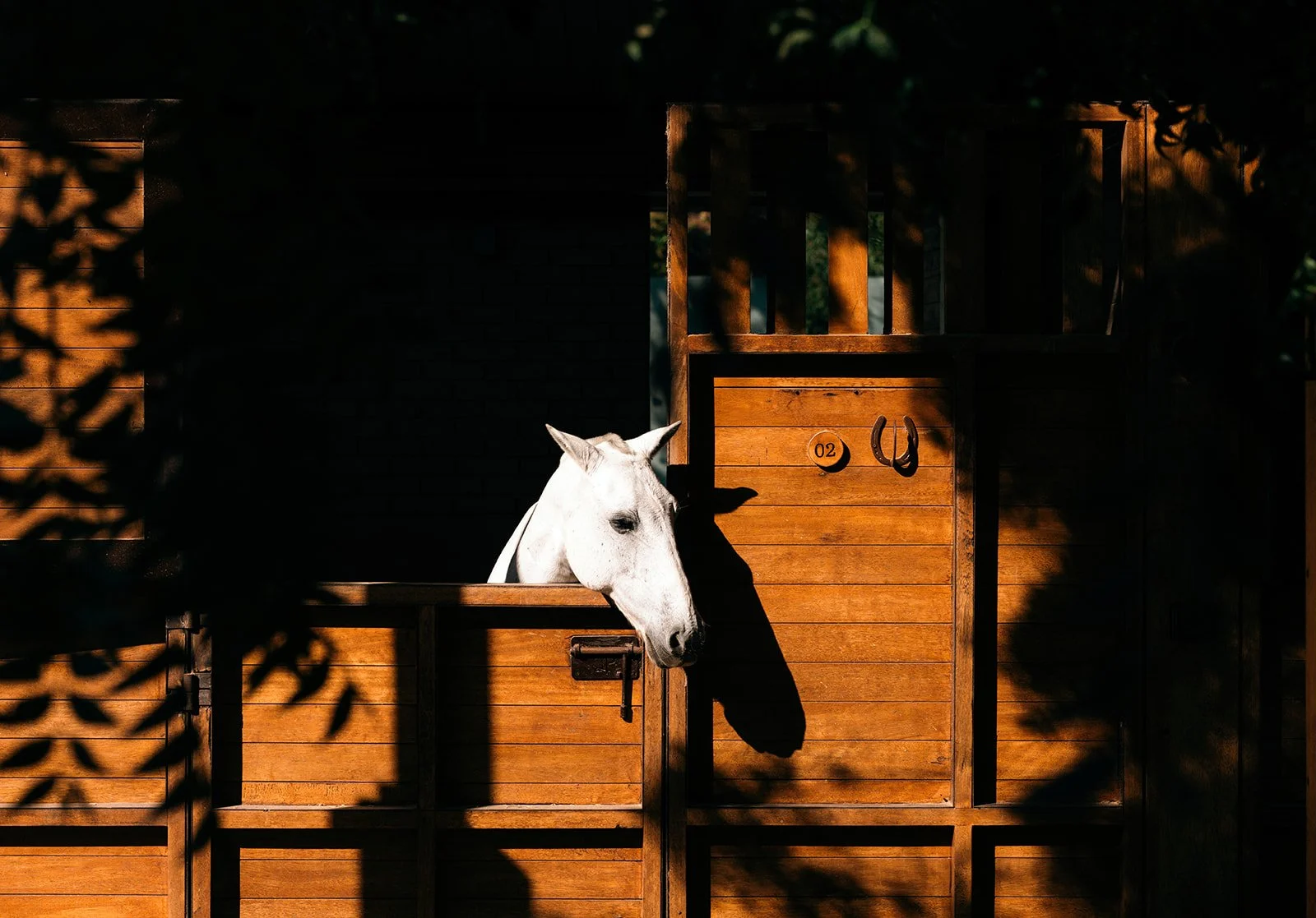 San_Pancho_Destination_Wedding_Rafal_Zeta (9 of 92).jpg