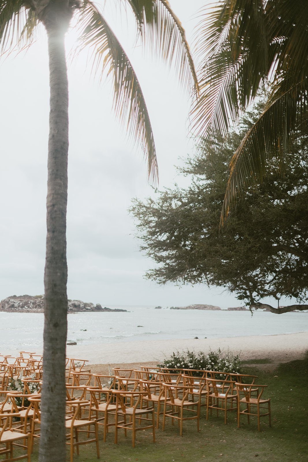 Palm trees and wooden ceremony chairs facing the ocean at a Punta Mita wedding