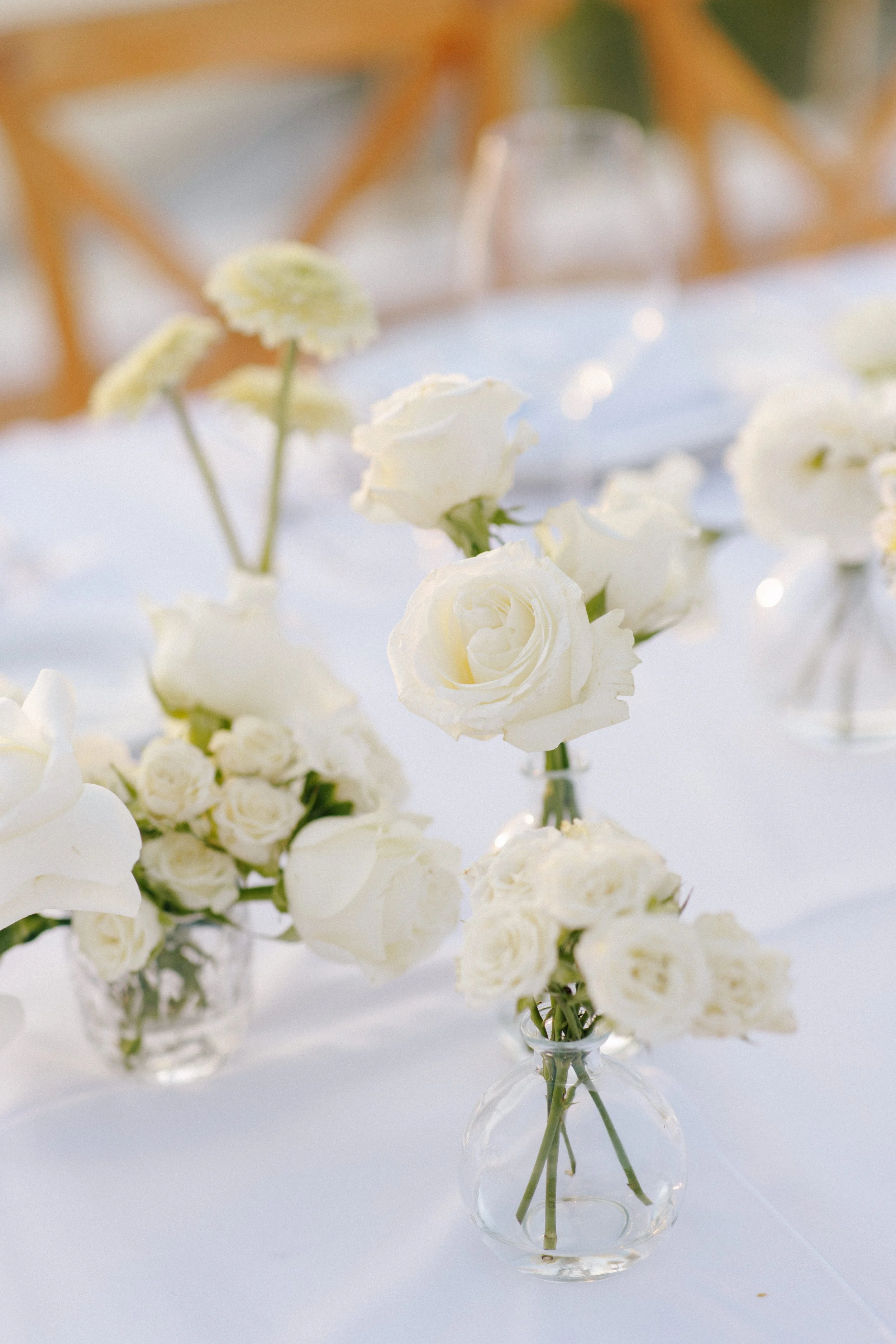 White roses and ranunculus in bud vases at a Grand Miramar wedding