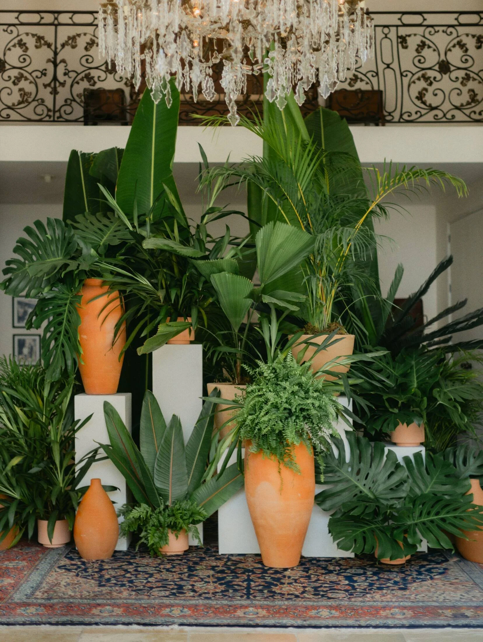 Tropical ceremony installation in terracotta vessels at Casa Kimberly, Puerto Vallarta