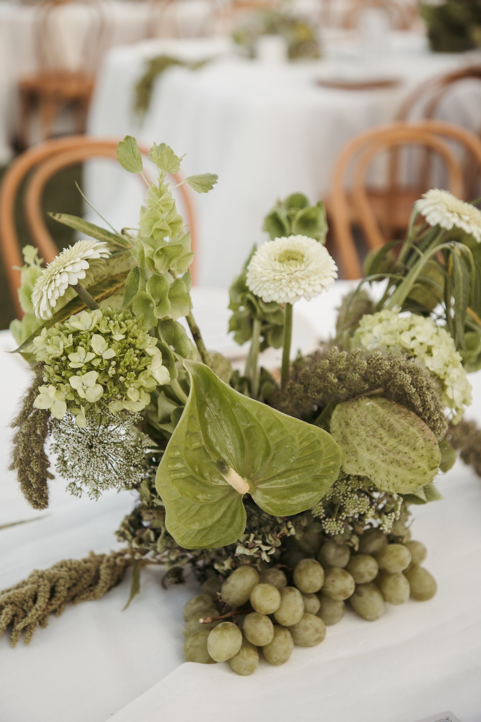 Green anthurium, gerbera and green grape centerpiece at a destination wedding in Mexico
