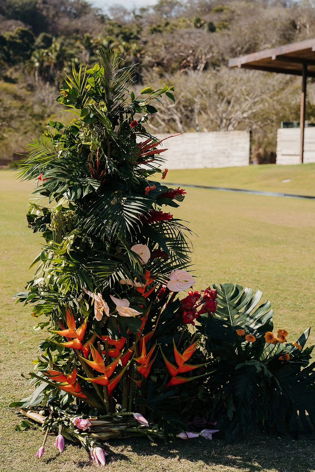 Tall tropical column of palm and heliconia at Tierra Tropical Polo Club, San Pancho