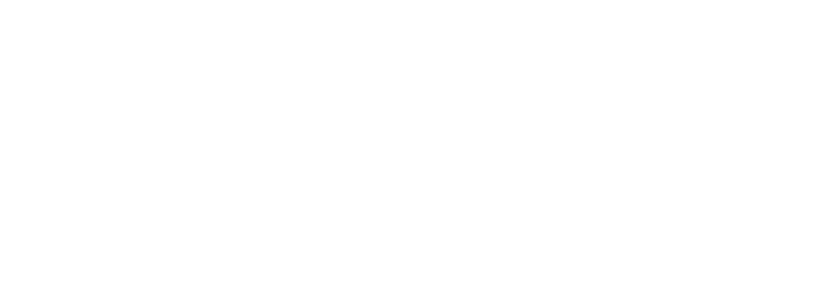 Eric Van Huystee