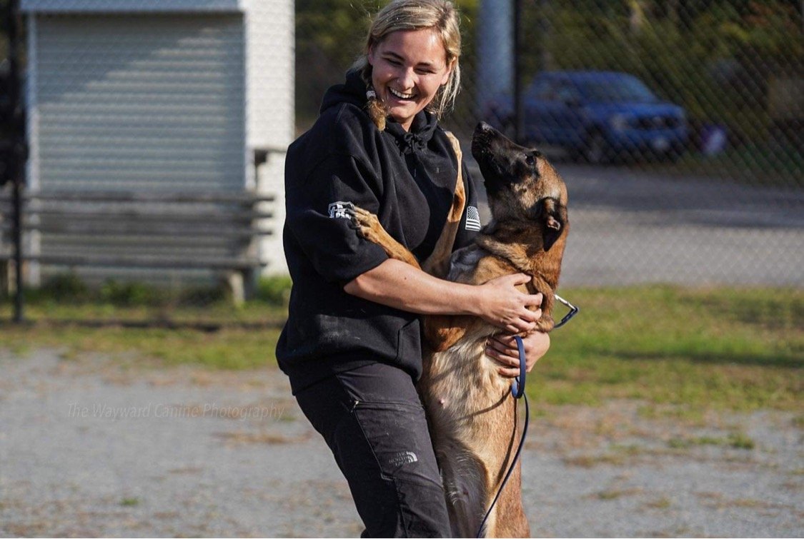 What Is Pack Mentality Dog