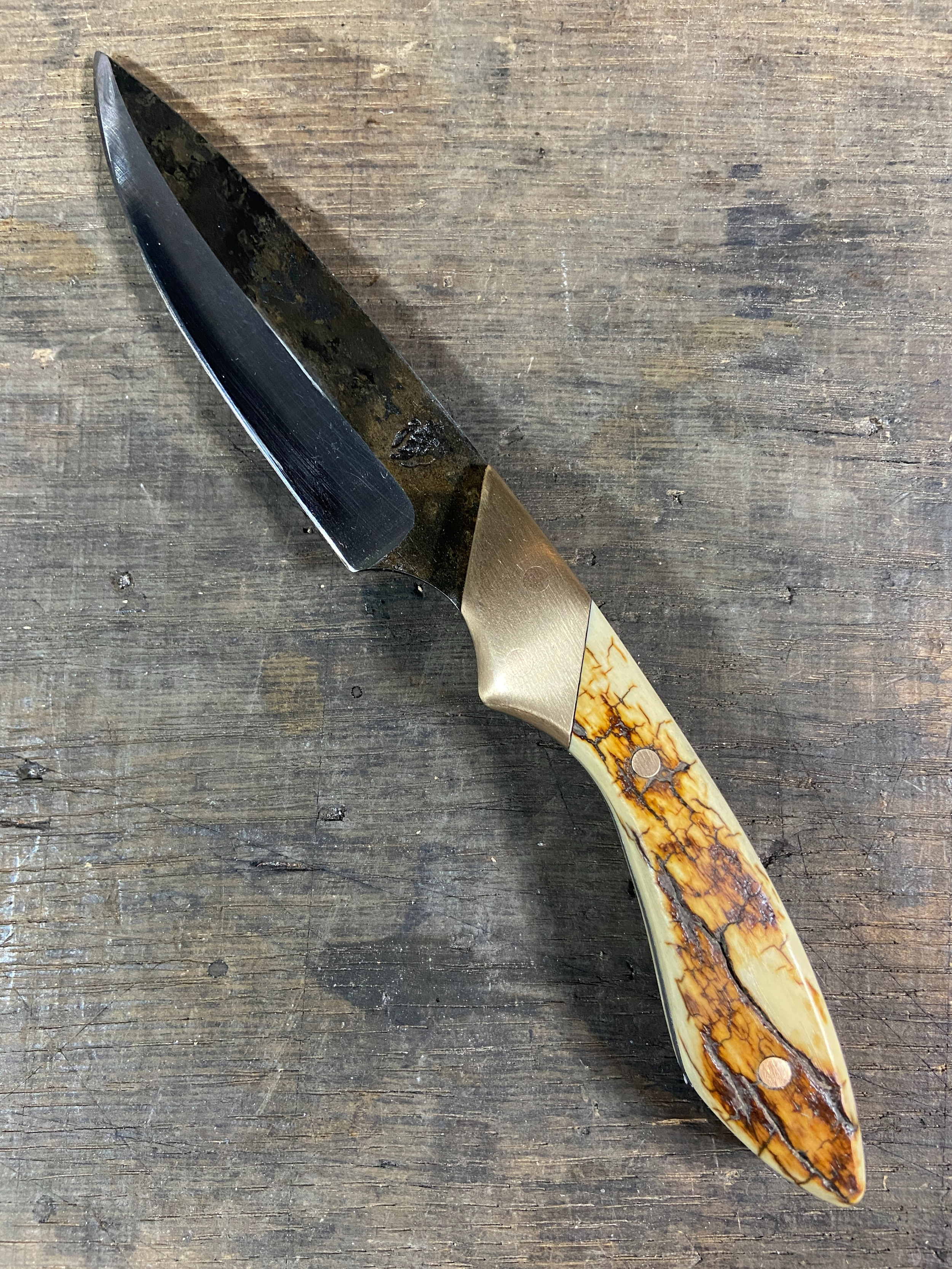 Couteau droit en acier carbone et manche en défense de mammouth et mitres en bronze massif sur fond de bois de chêne.