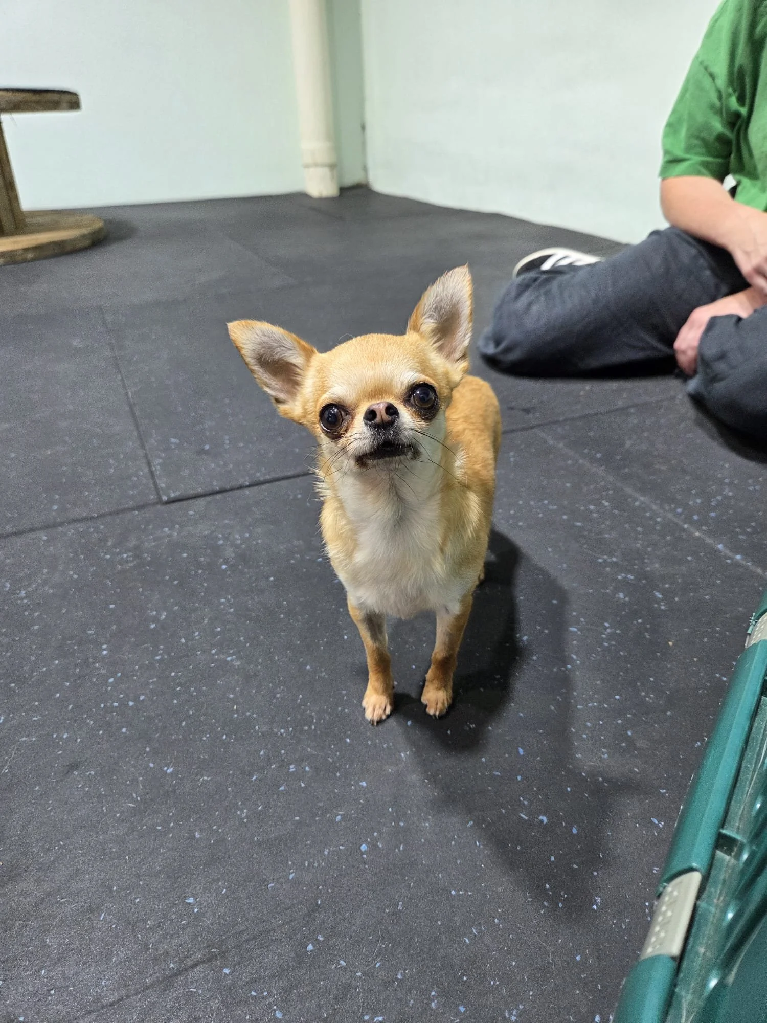 Wilbur Training space.jpeg