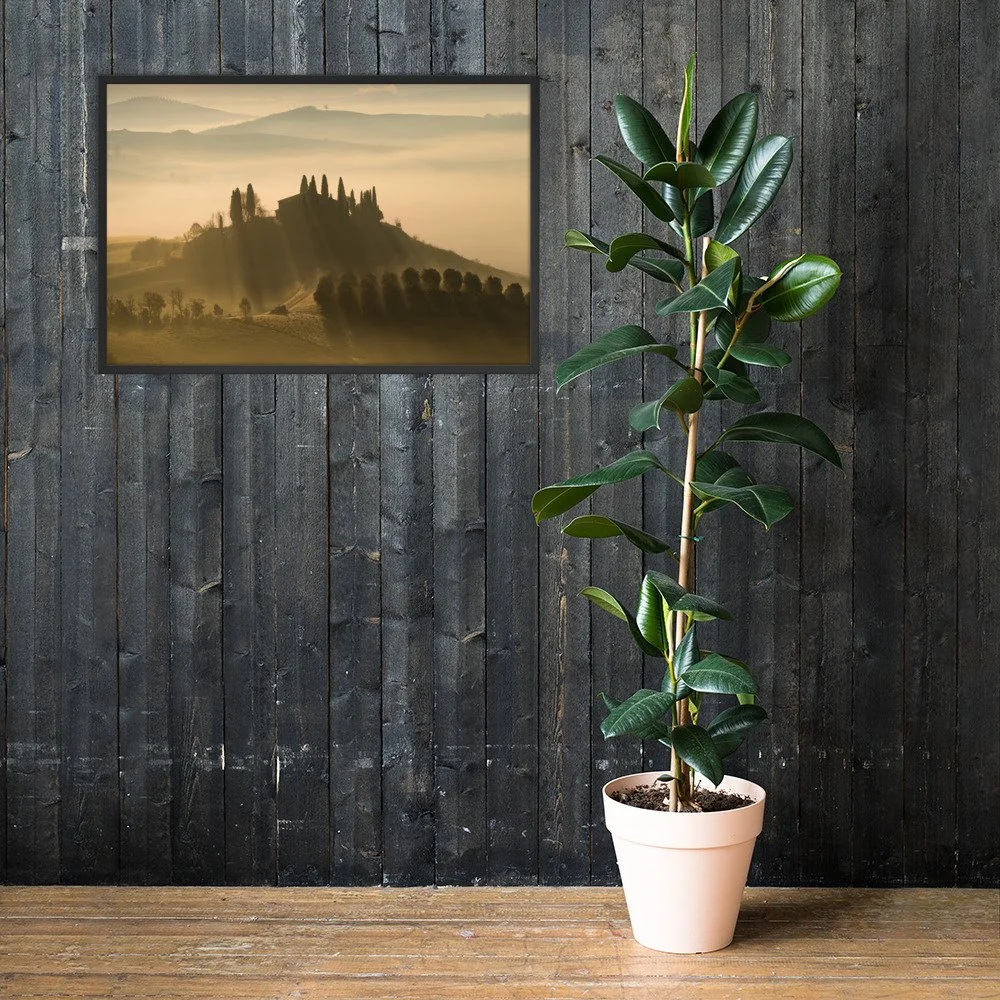 premium-luster-photo-paper-framed-poster-(in)-black-24x36-lifestyle-2-6631dcc284cb0.jpg