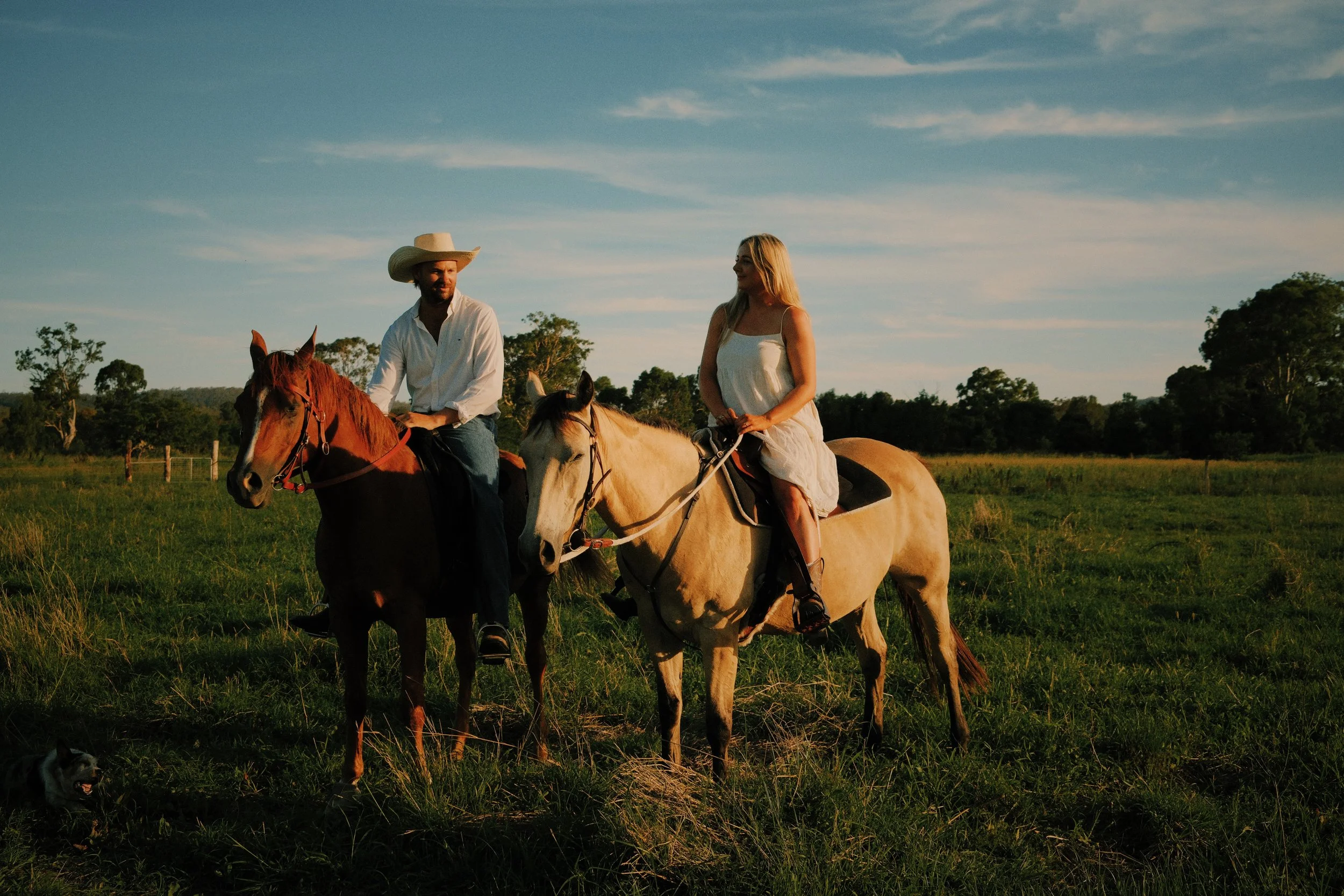 A man and a woman riding horses in a grassy field during sunset, with trees in the background and a small dog lying in the grass nearby.
