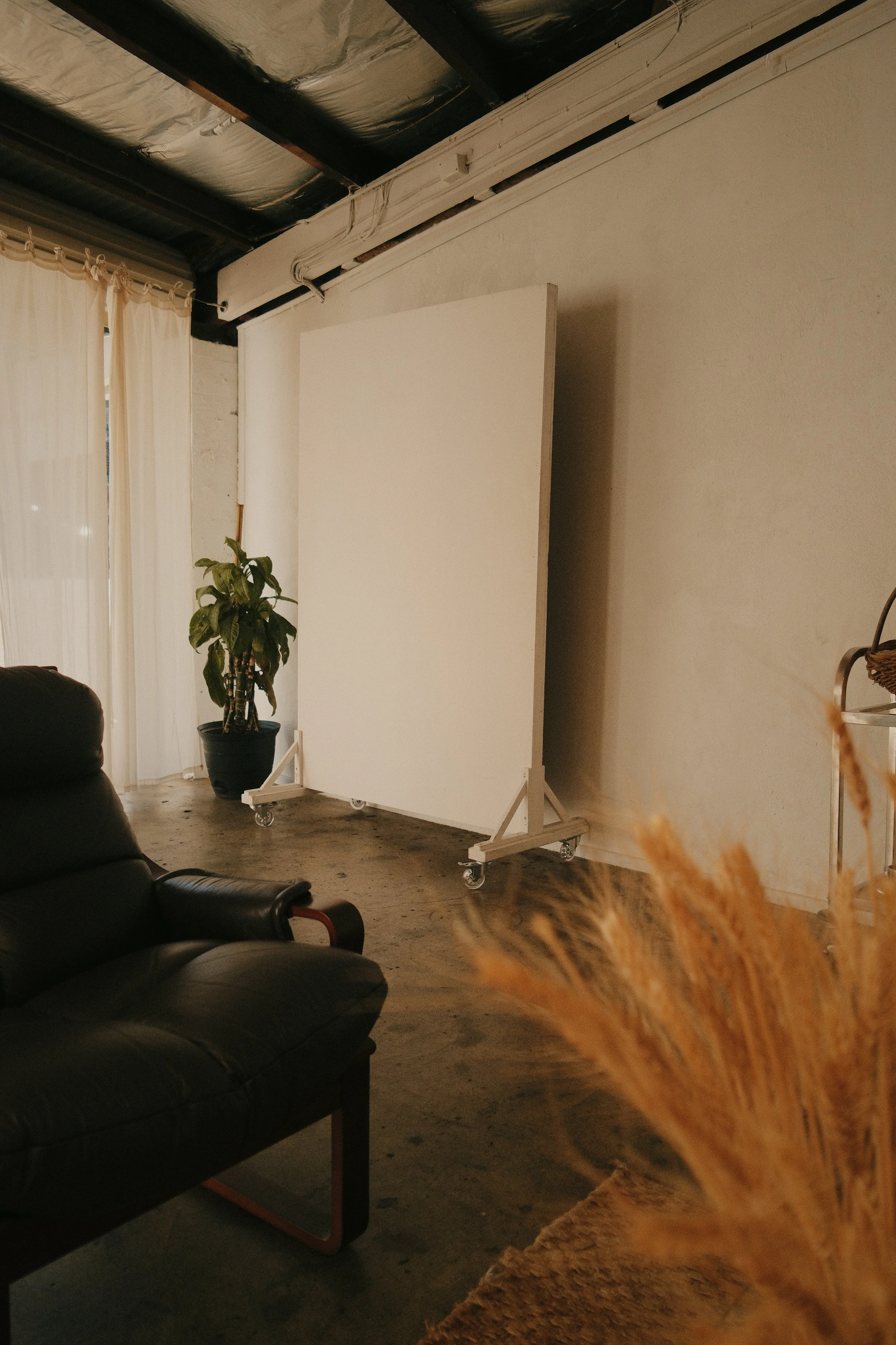 A mainly empty room with a black leather recliner, a large potted plant, and a white movable partition or canvas on wheels. The room has light-colored curtains, white walls with exposed pipes, and a high ceiling with dark insulation. Dried wheat stal