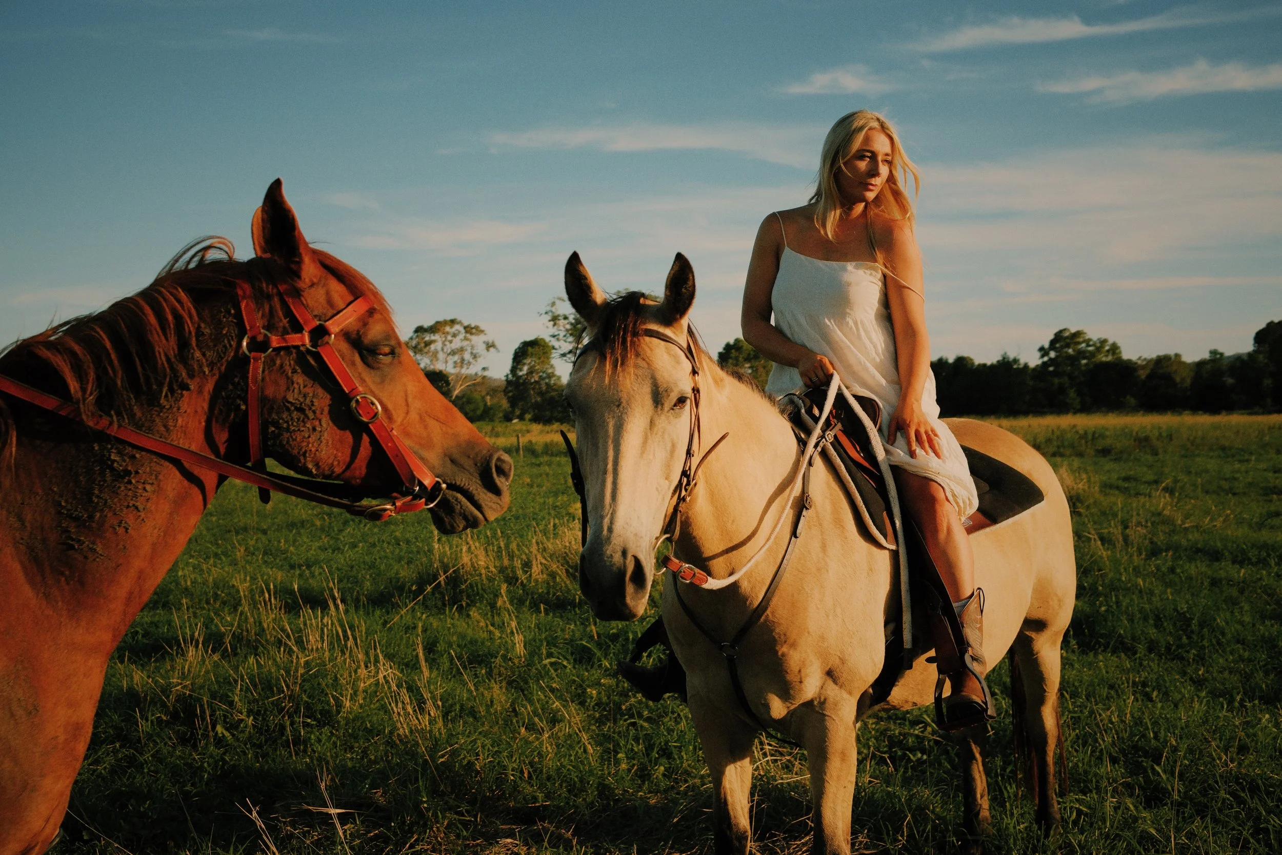 A woman in a white dress riding a light-colored horse in a grassy field during sunset, with another brown horse nearby.