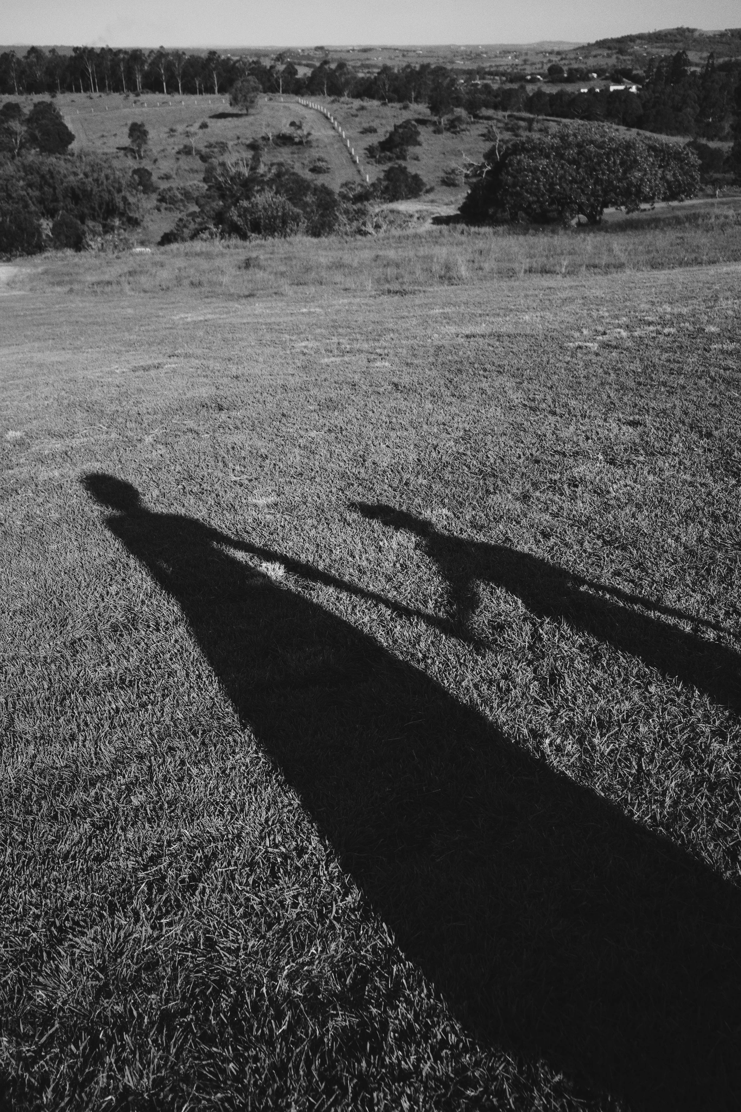 Shadows of two people cast on grass in an open field, with rolling hills and trees in the distance.