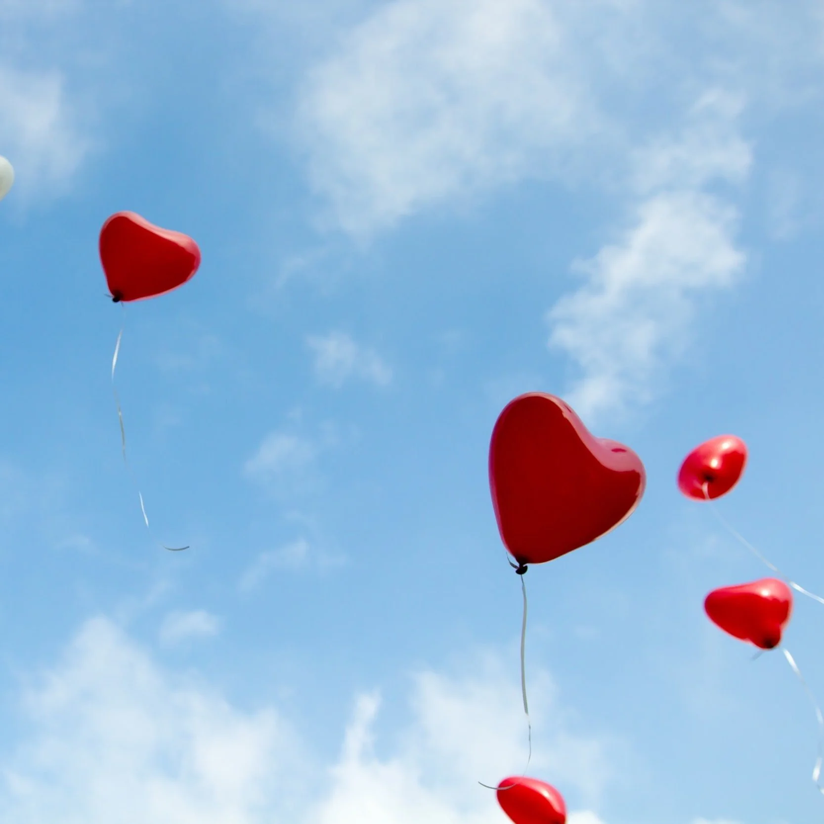 Love &amp; Loss Weekend Workshop