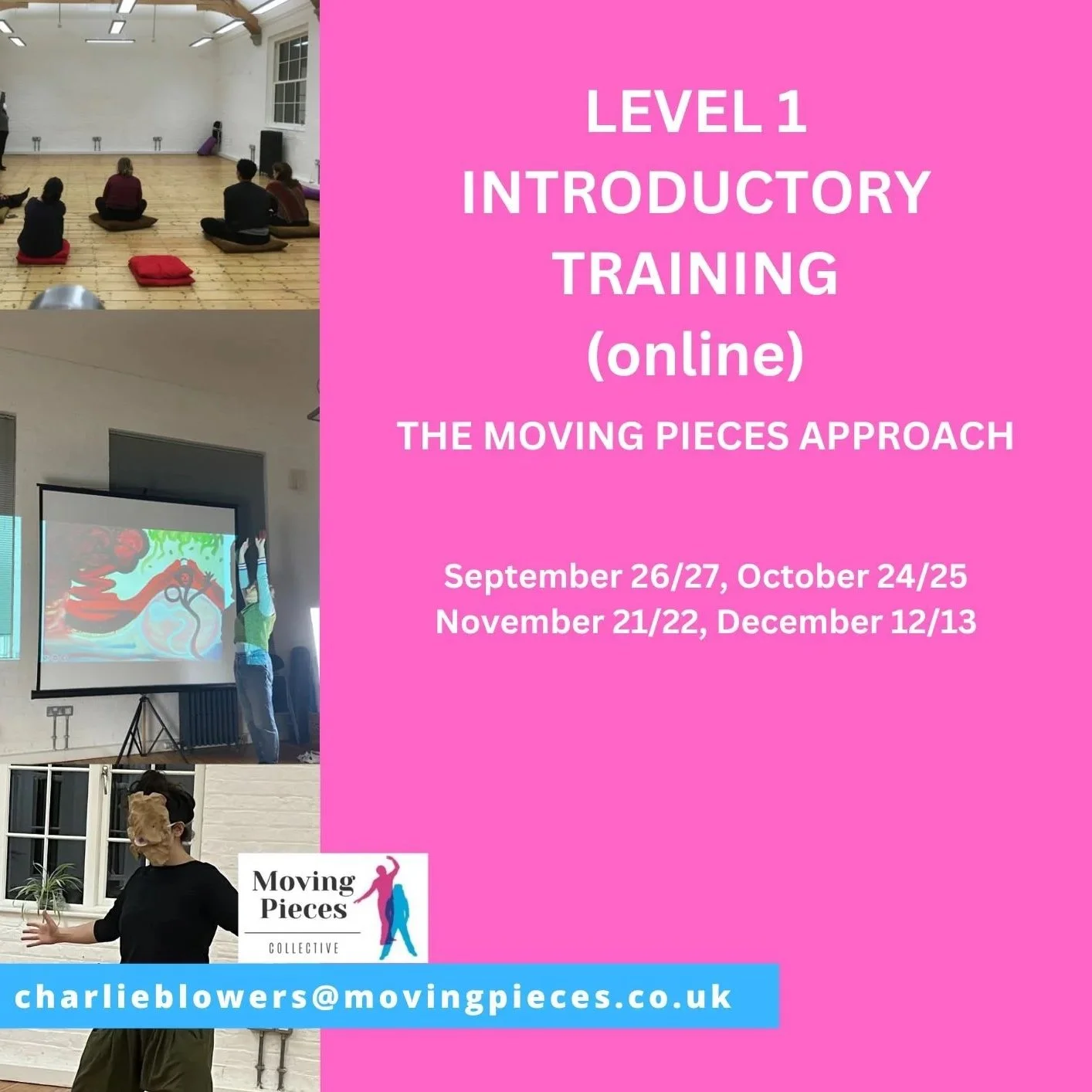 Level 1 Introductory Training in the Moving Pieces Approach (online)