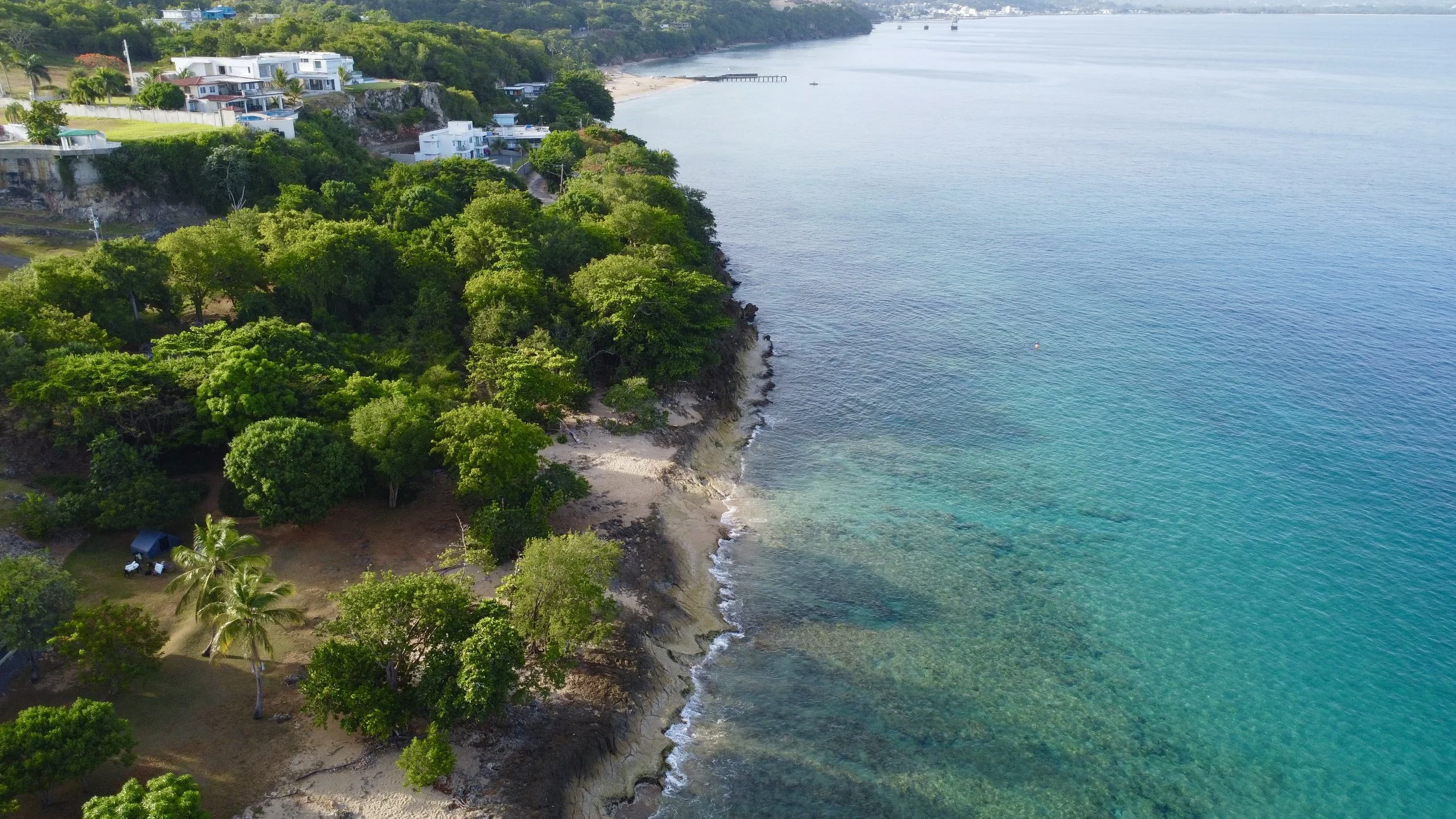 DJI_0029.jpg