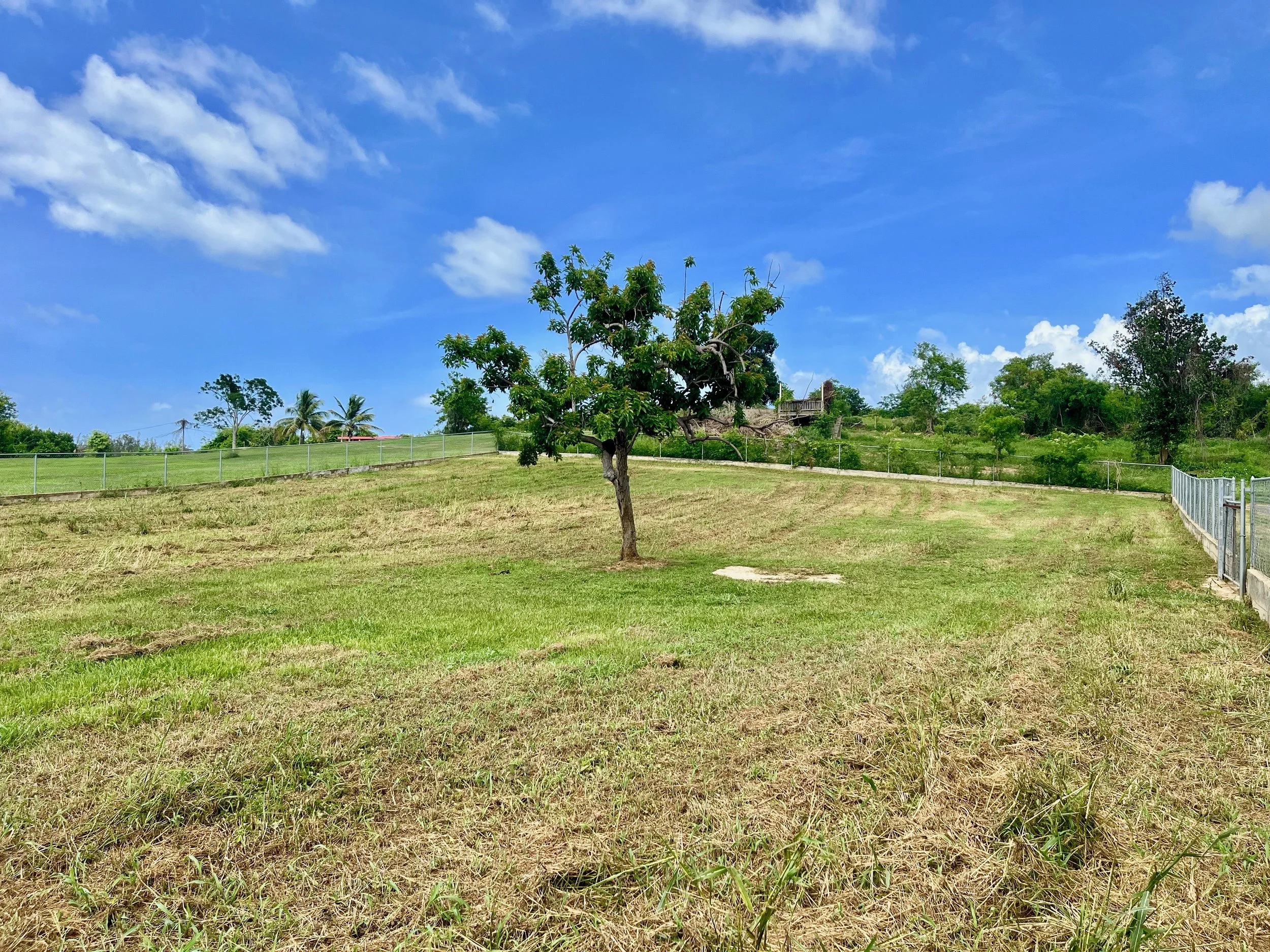 Listings — Graves Realty Puerto Rico