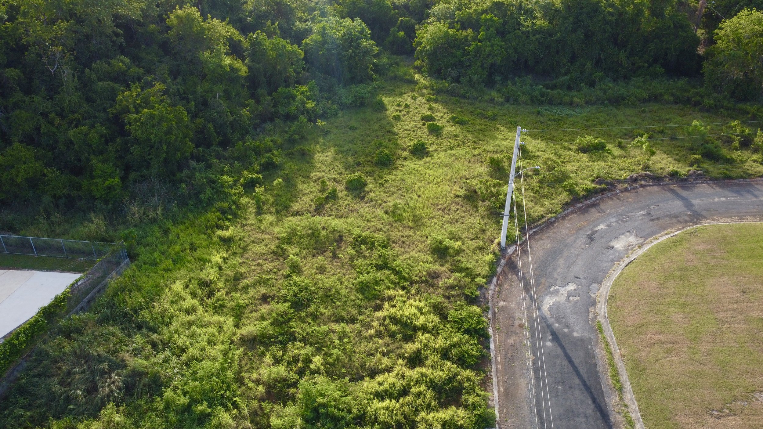 DJI_0025.jpg