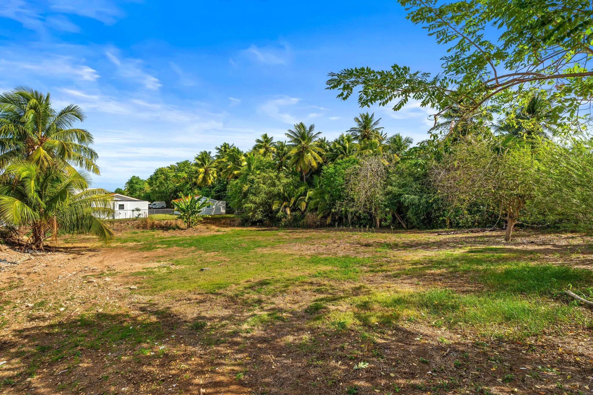 30-web-or-mls-DSC07089.jpg