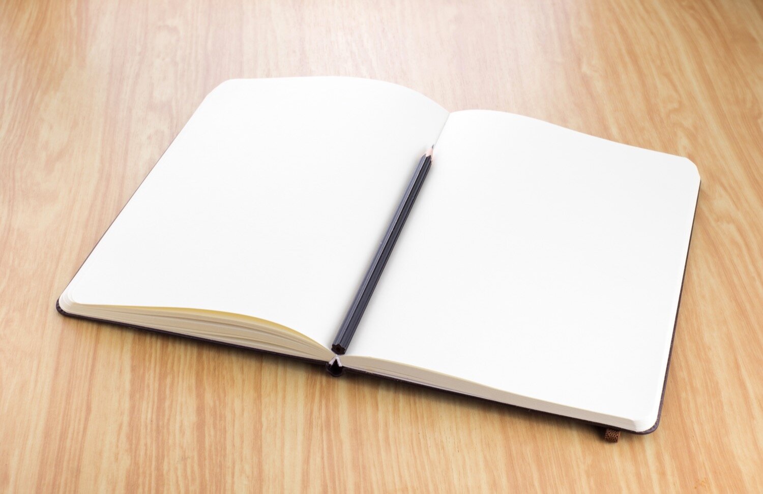 GTD con Moleskine