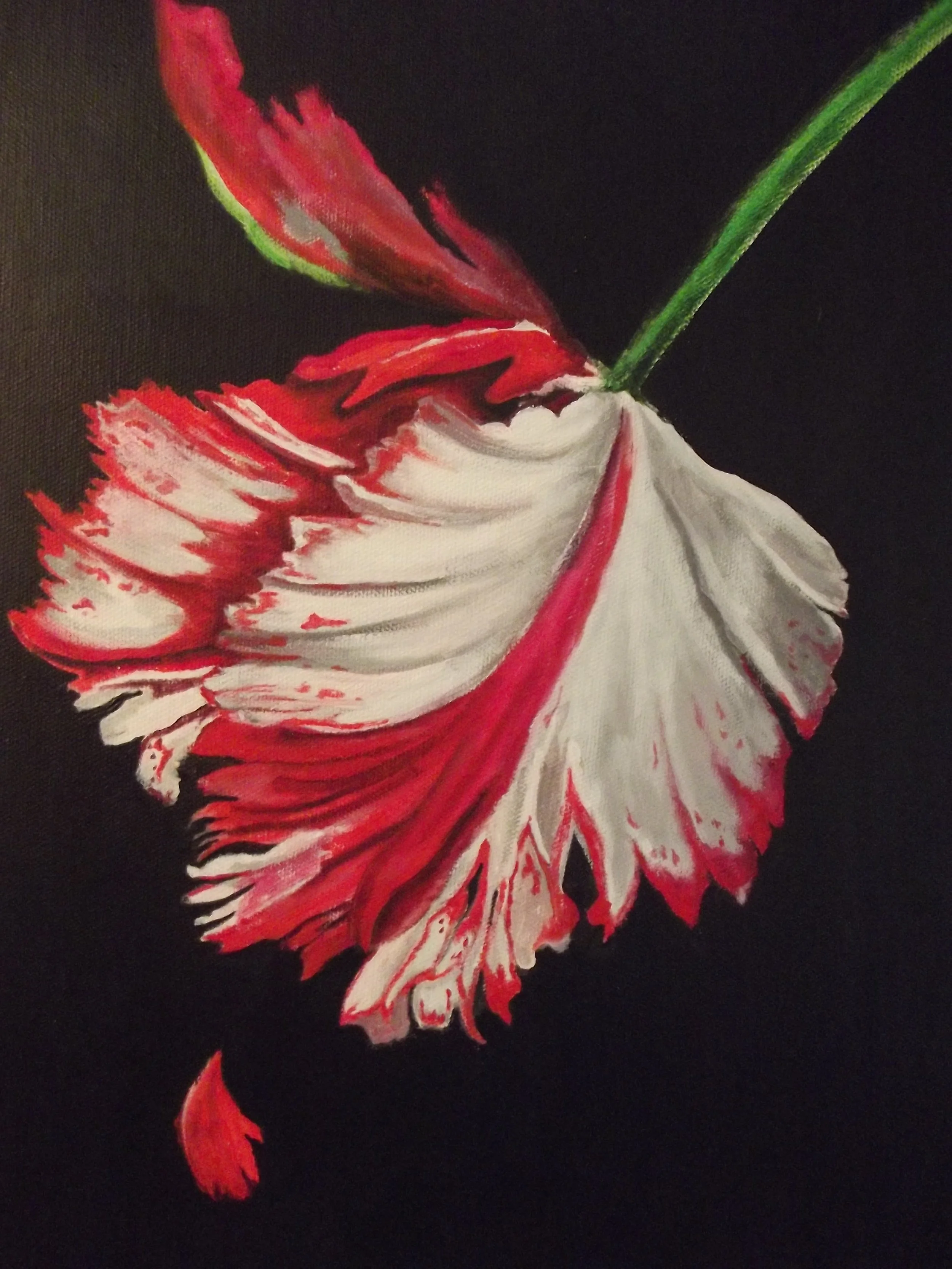 Commission: Gift for a 'Twilight' mega fan