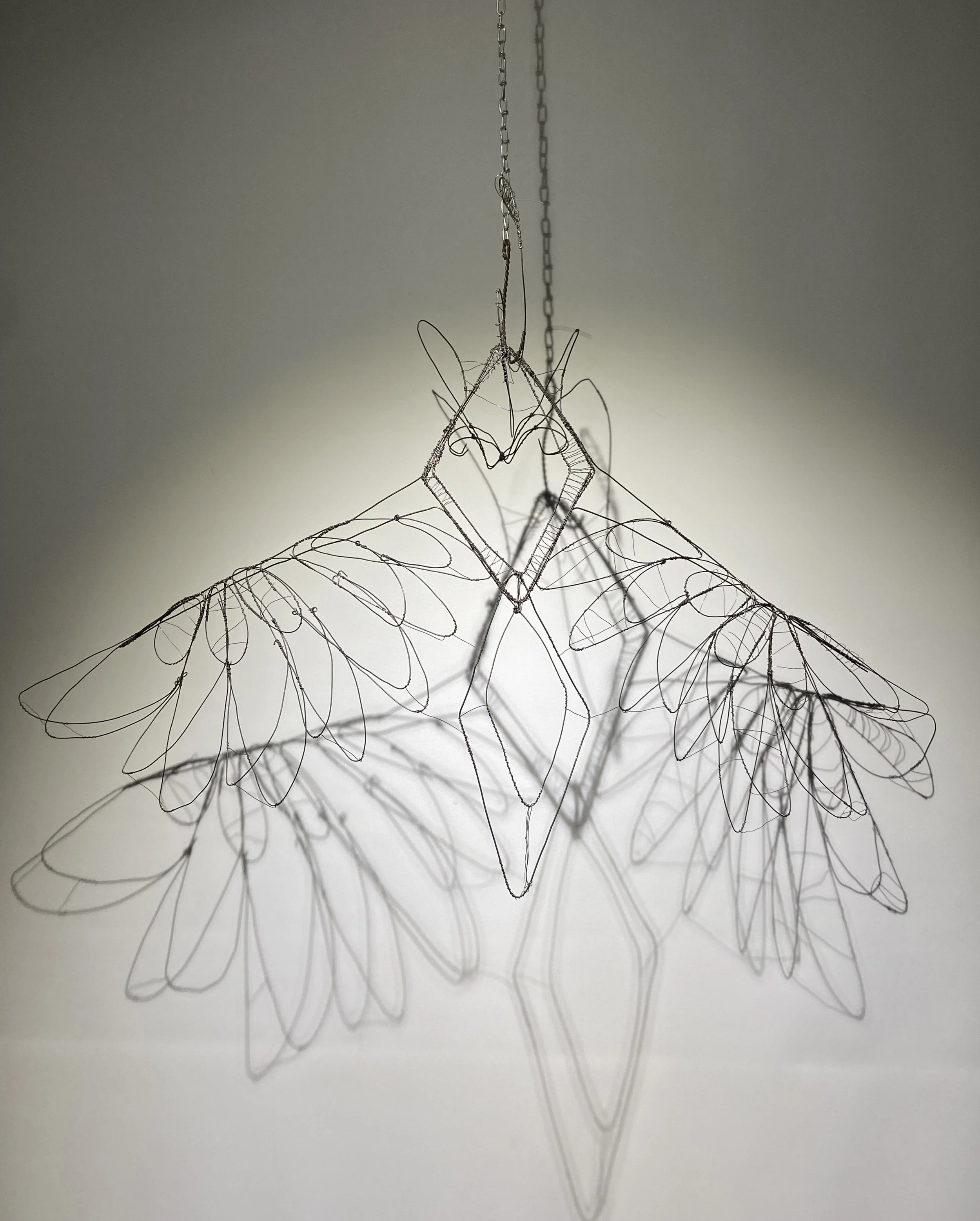 Wearable Linear Sculpture - 
S. Earle