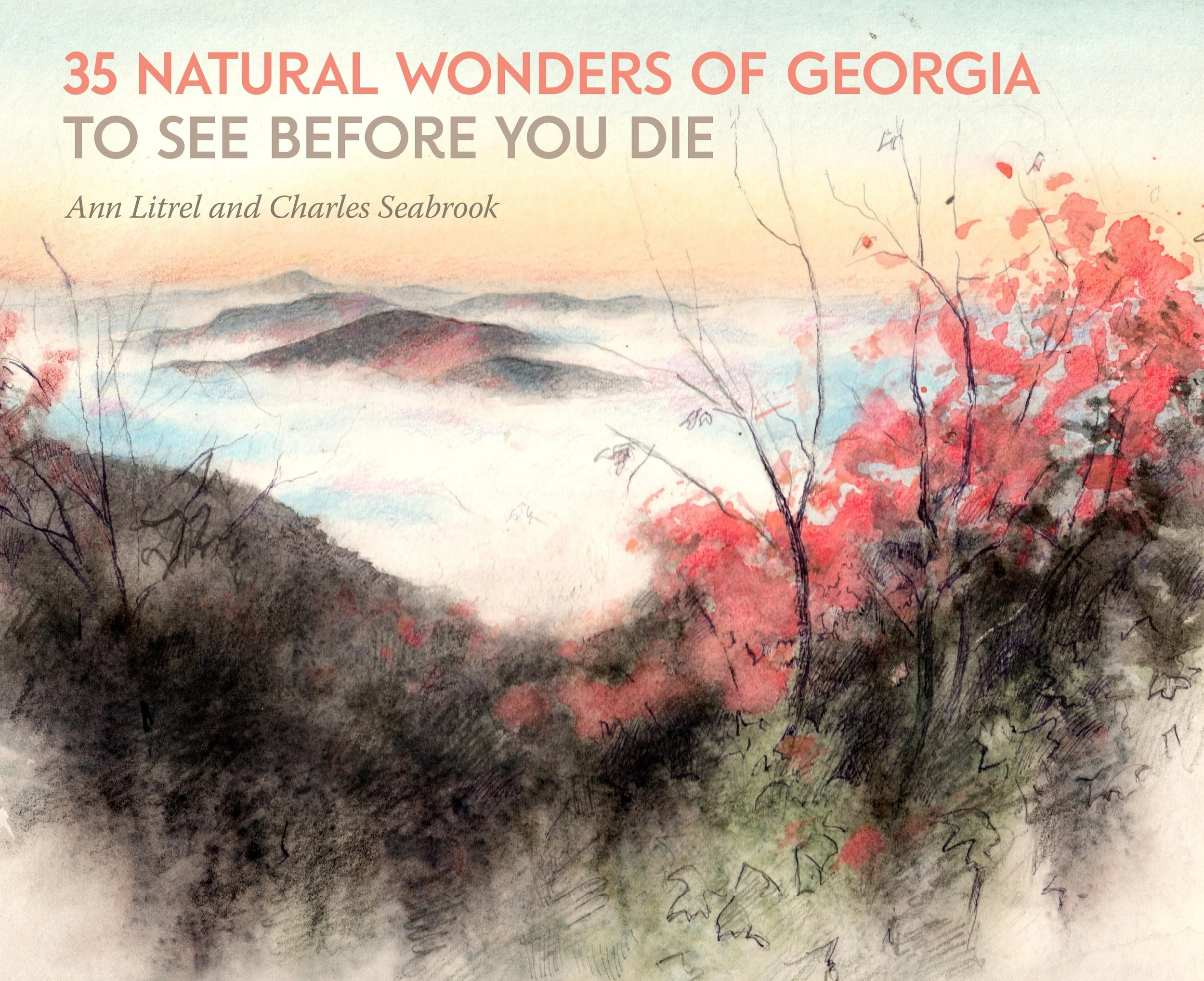 The book cover for Ann Litrel and Charles Seabrook's '35 Natural Wonders of Georgia to See Before You Die'
