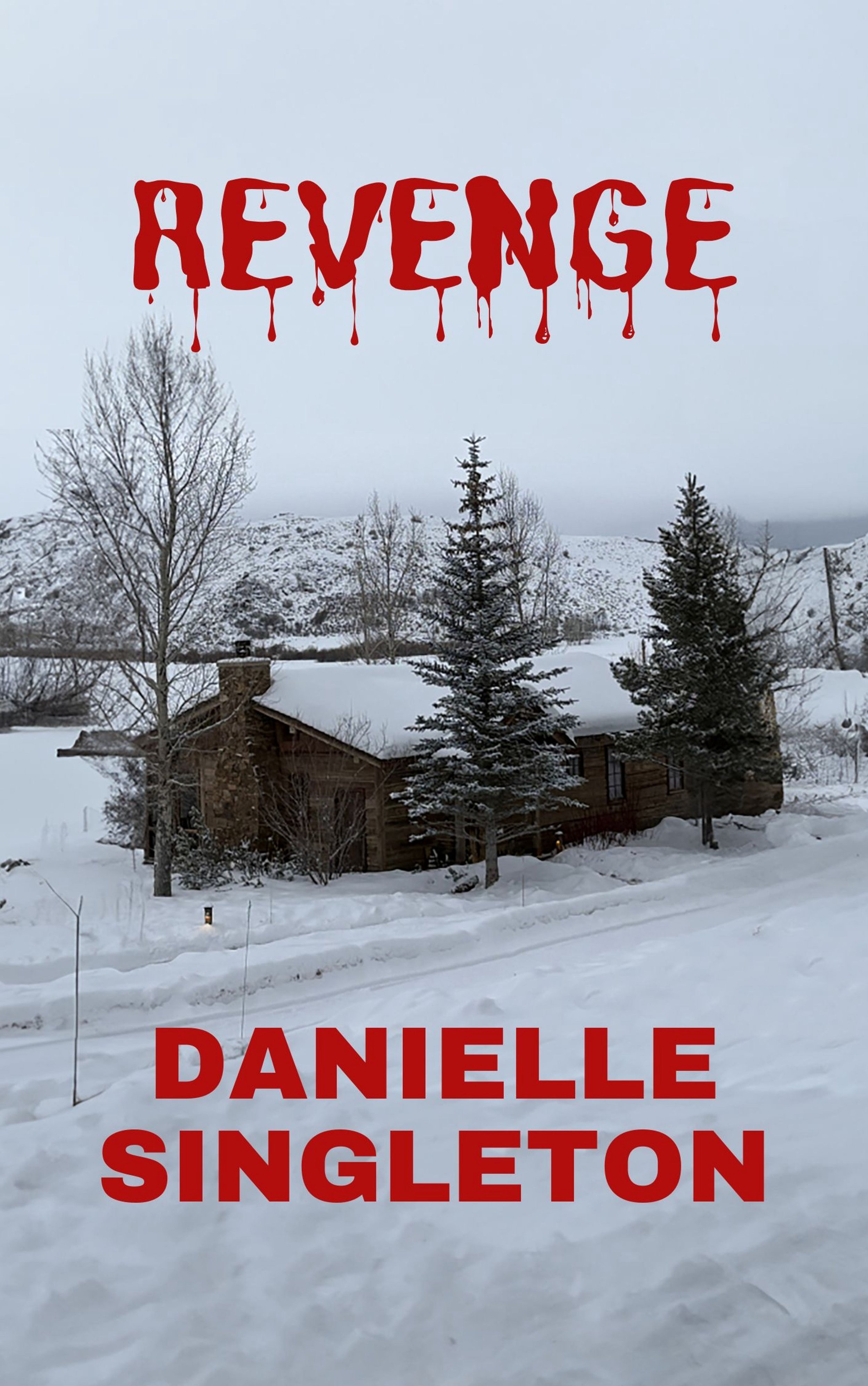 The book cover for Danielle Singleton's 'Revenge'