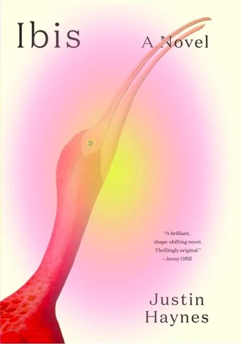 The book cover for Justin Haynes' 'Ibis'