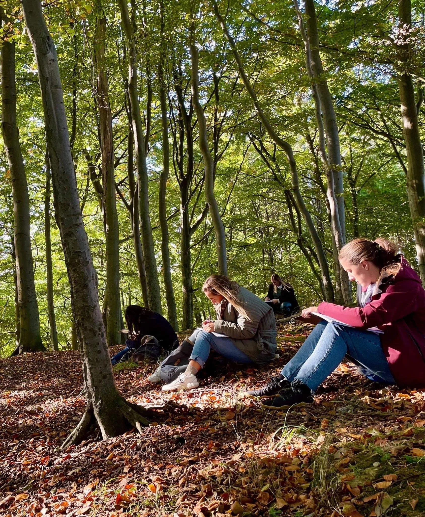 mentor uddannelsen studenter skriver i skoven