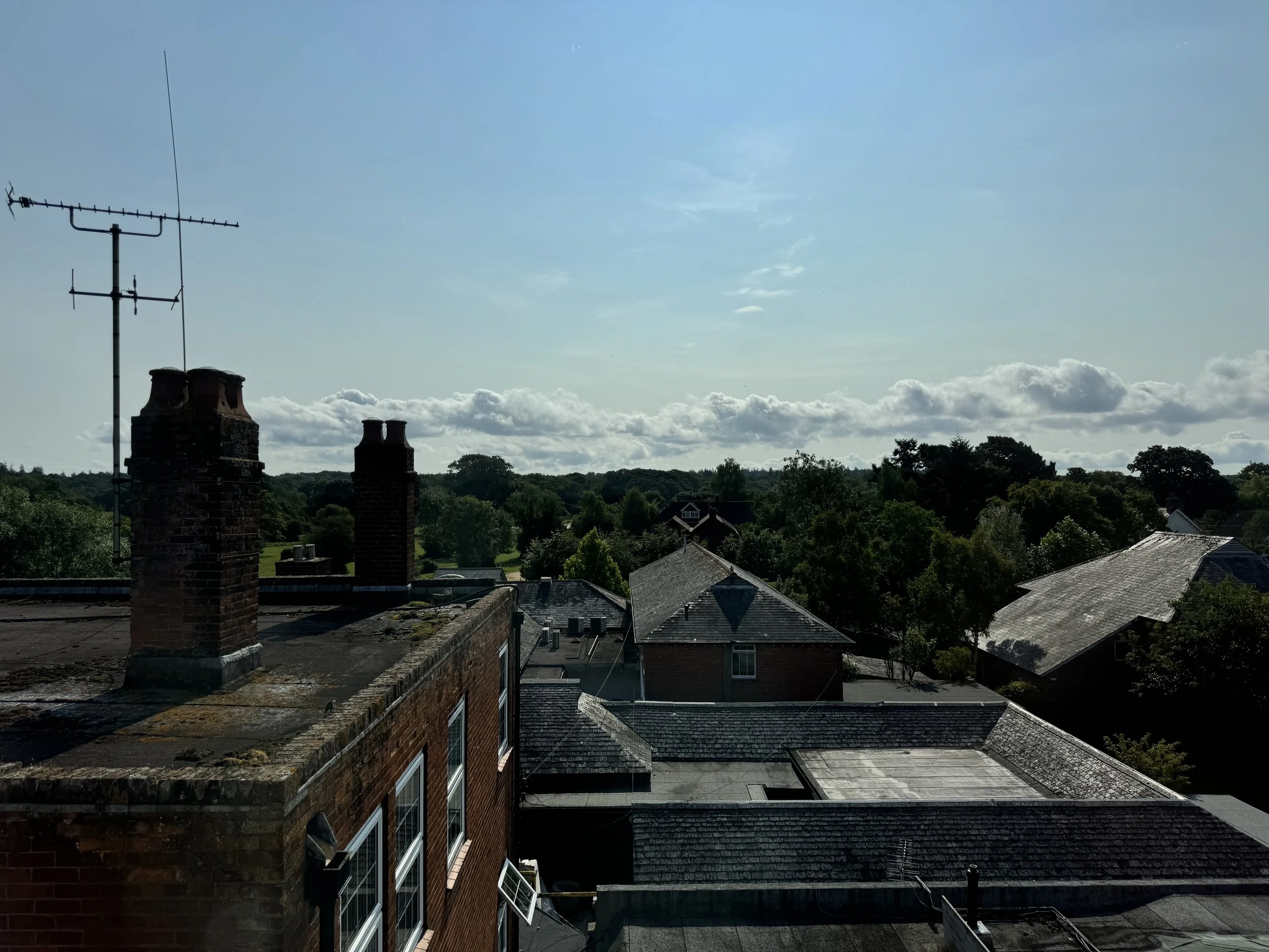 View of rooftops of buildings with chimneys and trees on a clear day with a partly cloudy sky.