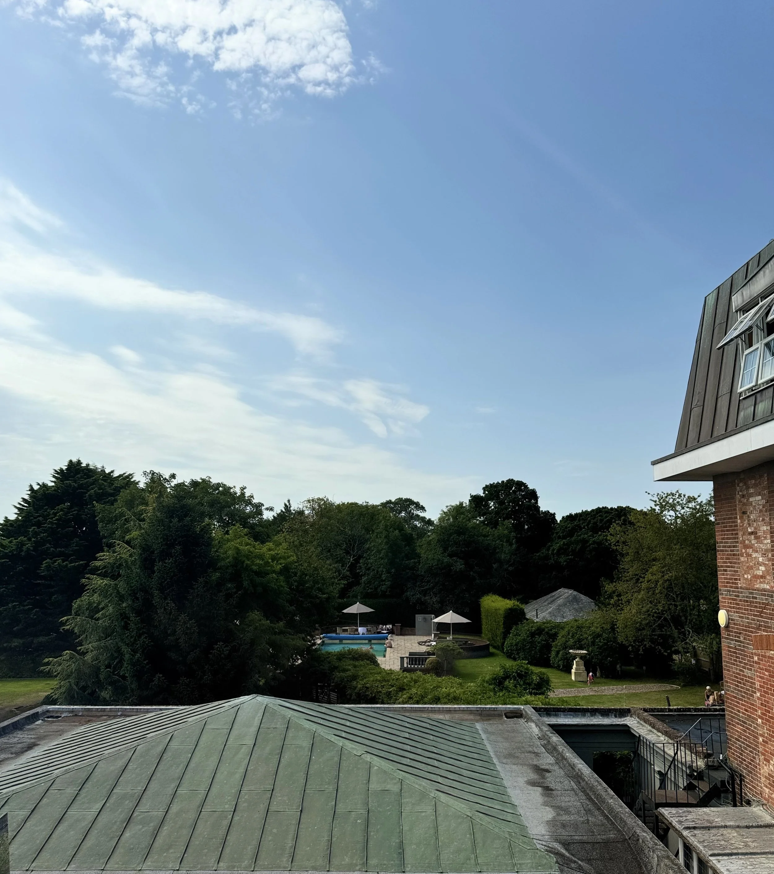 View of rooftops, trees, and pool area with umbrellas on a sunny day.