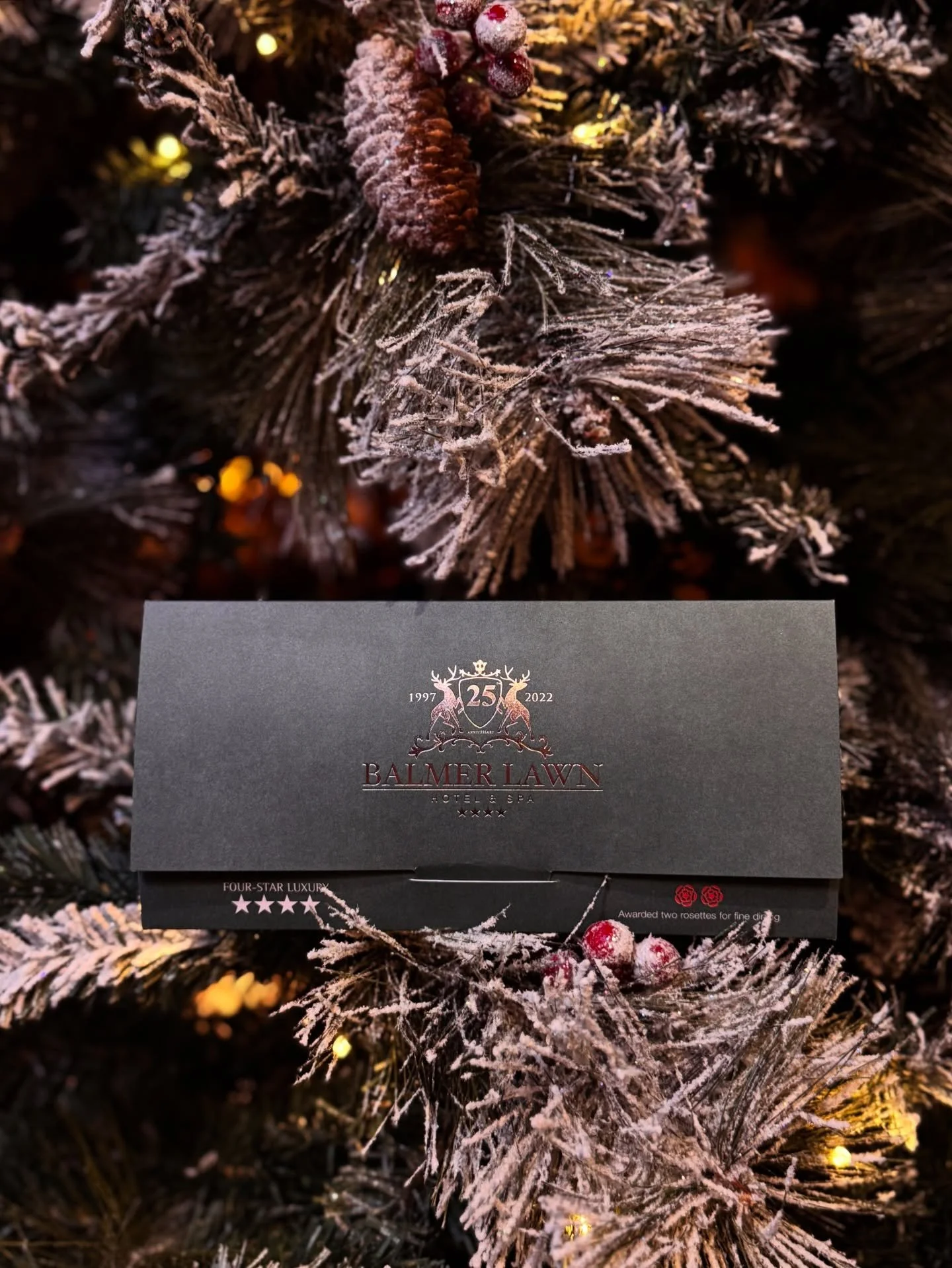 Something magical is arriving tomorrow&hellip;
Our gift vouchers are about to get very exciting, and you won&rsquo;t want to miss what&rsquo;s coming.
Keep your eyes peeled, the perfect festive surprise will be revealed tomorrow! 🎁✨

#balmerlawnhote