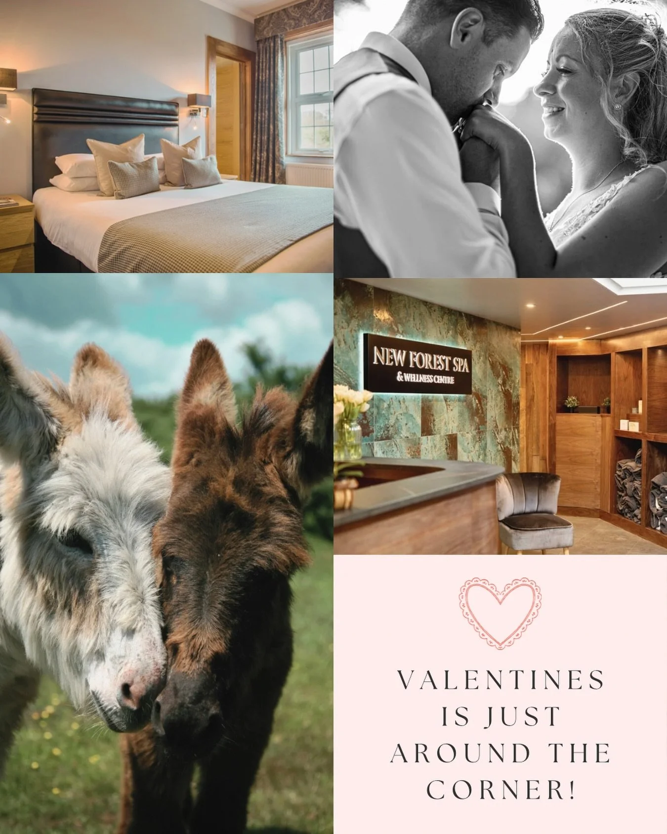 Plan your perfect Valentines Escape to the New Forest &amp; don&rsquo;t wait book now!❤️

Escape to Balmer Lawn Hotel for a romantic stay surrounded by the natural beauty of the New Forest with indulgent dining, relaxing spa time, and space to truly 