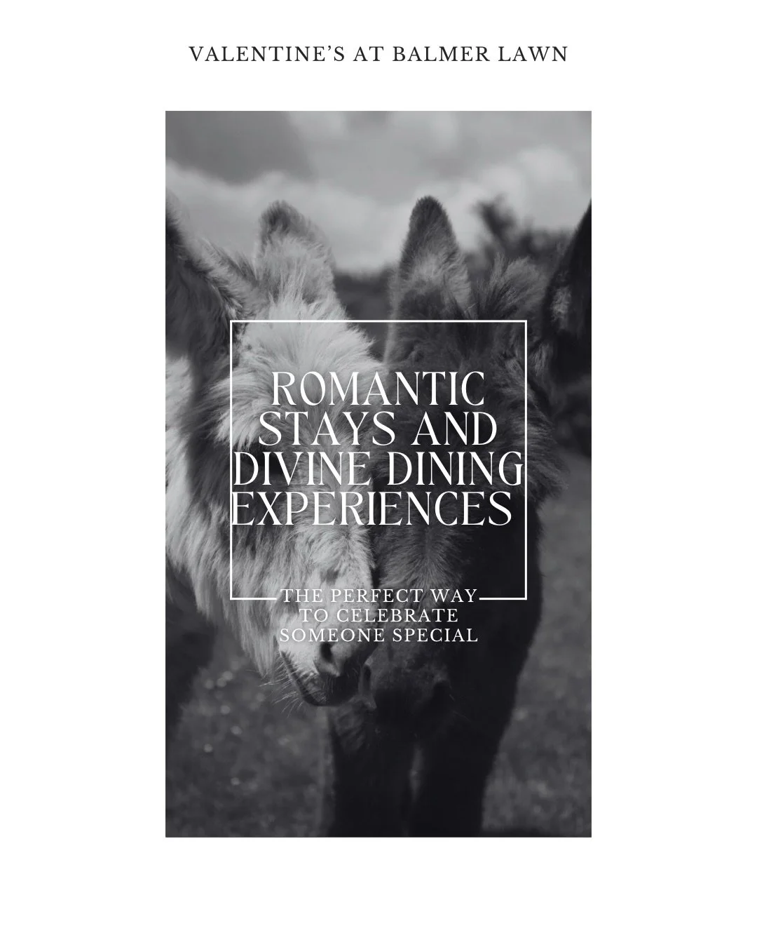 Valentine&rsquo;s at Balmer Lawn 🤍
Romantic stays, a seven-course tasting menu, and time to simply enjoy being together.
From beautifully crafted dining with a glass of pink prosecco to overnight stays in the heart of the New Forest, everything is i