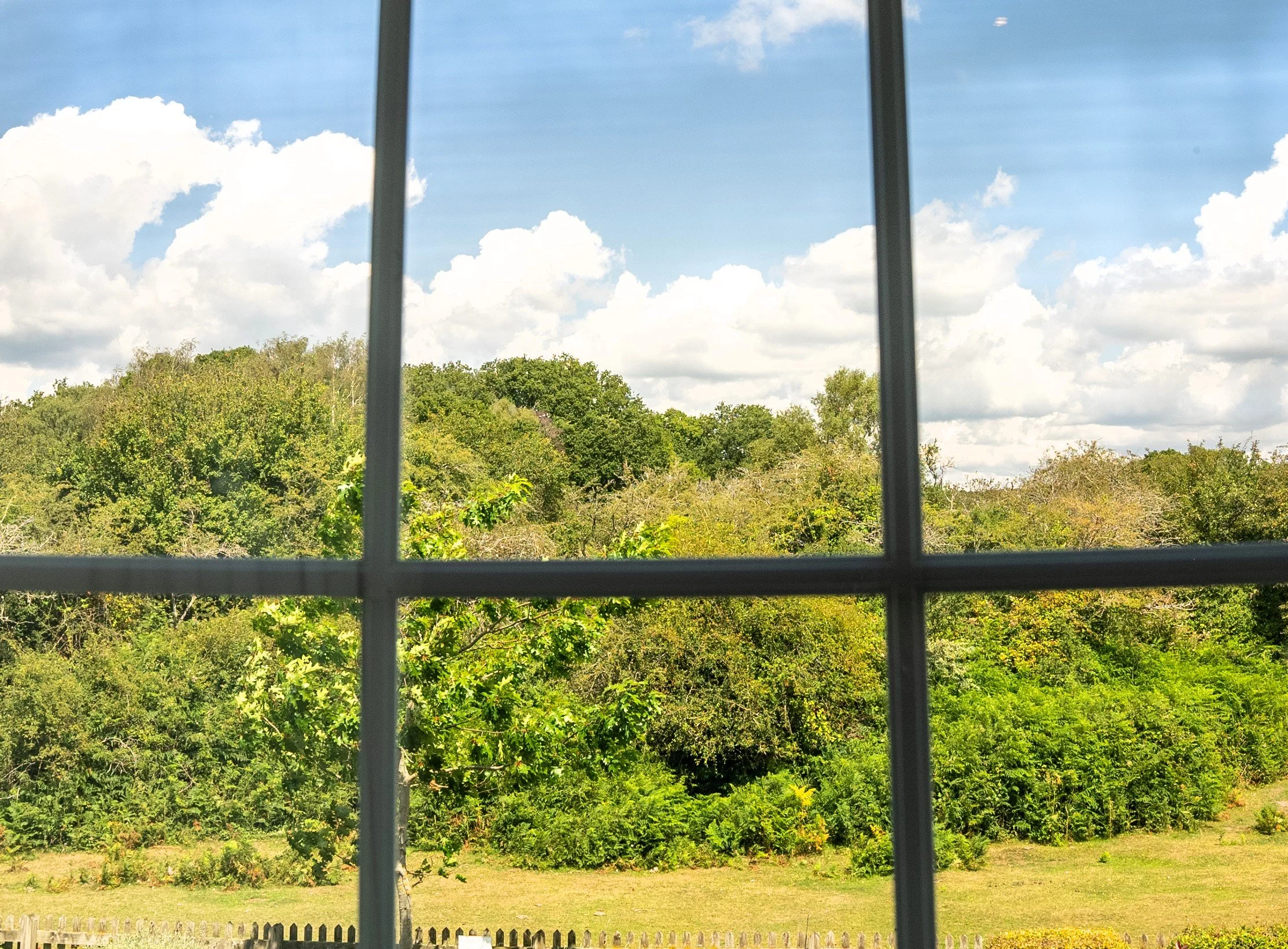 View of green trees and bushes through a window with metal grid bars, under partly cloudy sky.