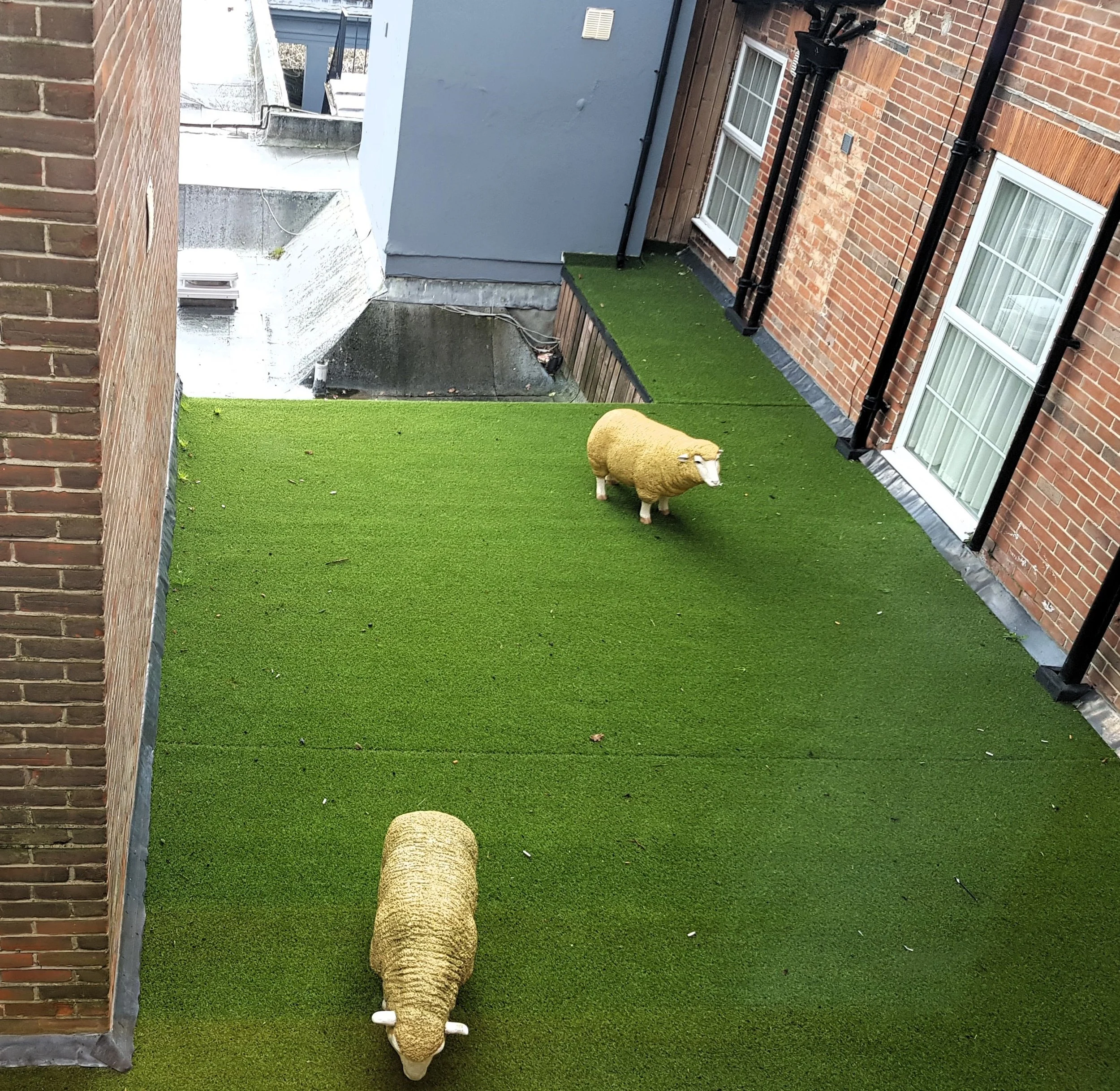 A rooftop garden with artificial green grass, two sheep statues, and brick walls of surrounding buildings.