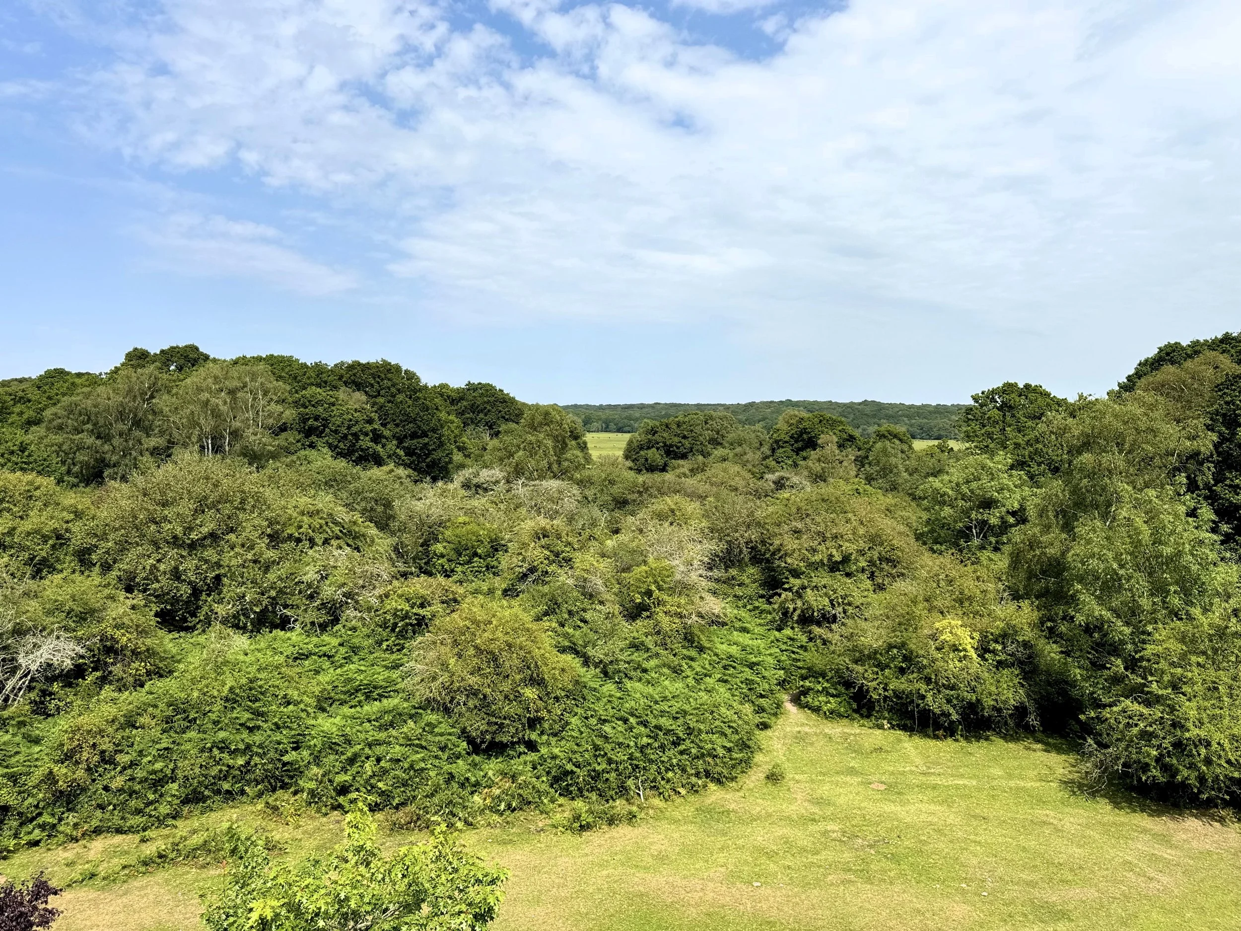 Landscape of green trees and bushes with a partly cloudy sky.