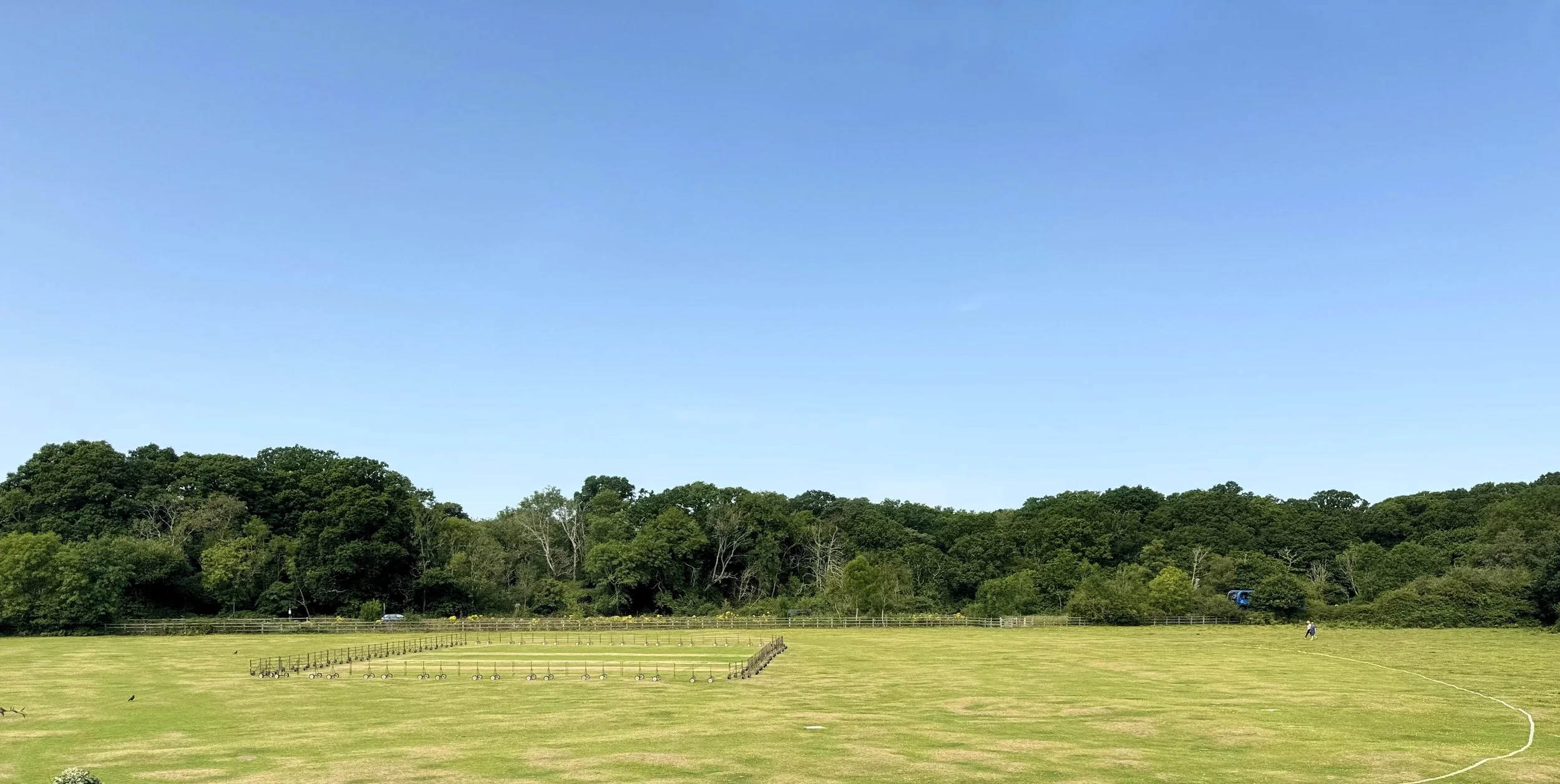 A large grassy field with a fence and rows of small plants or posts in the foreground, surrounded by trees and a clear blue sky.