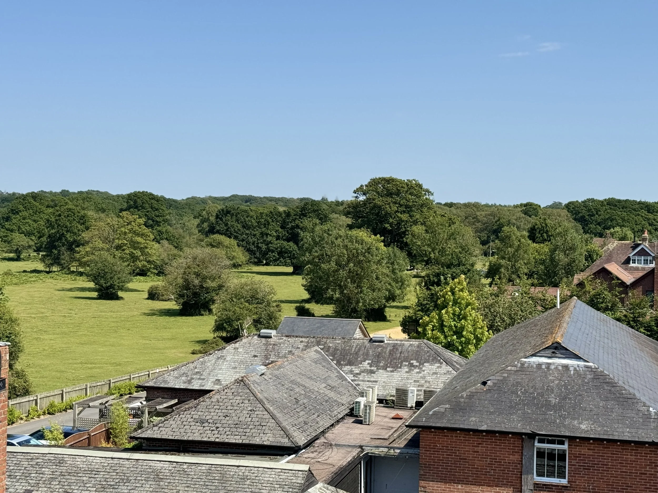 A view of rooftops with chimneys and air conditioning units, overlooking a green field with scattered trees under a blue sky.