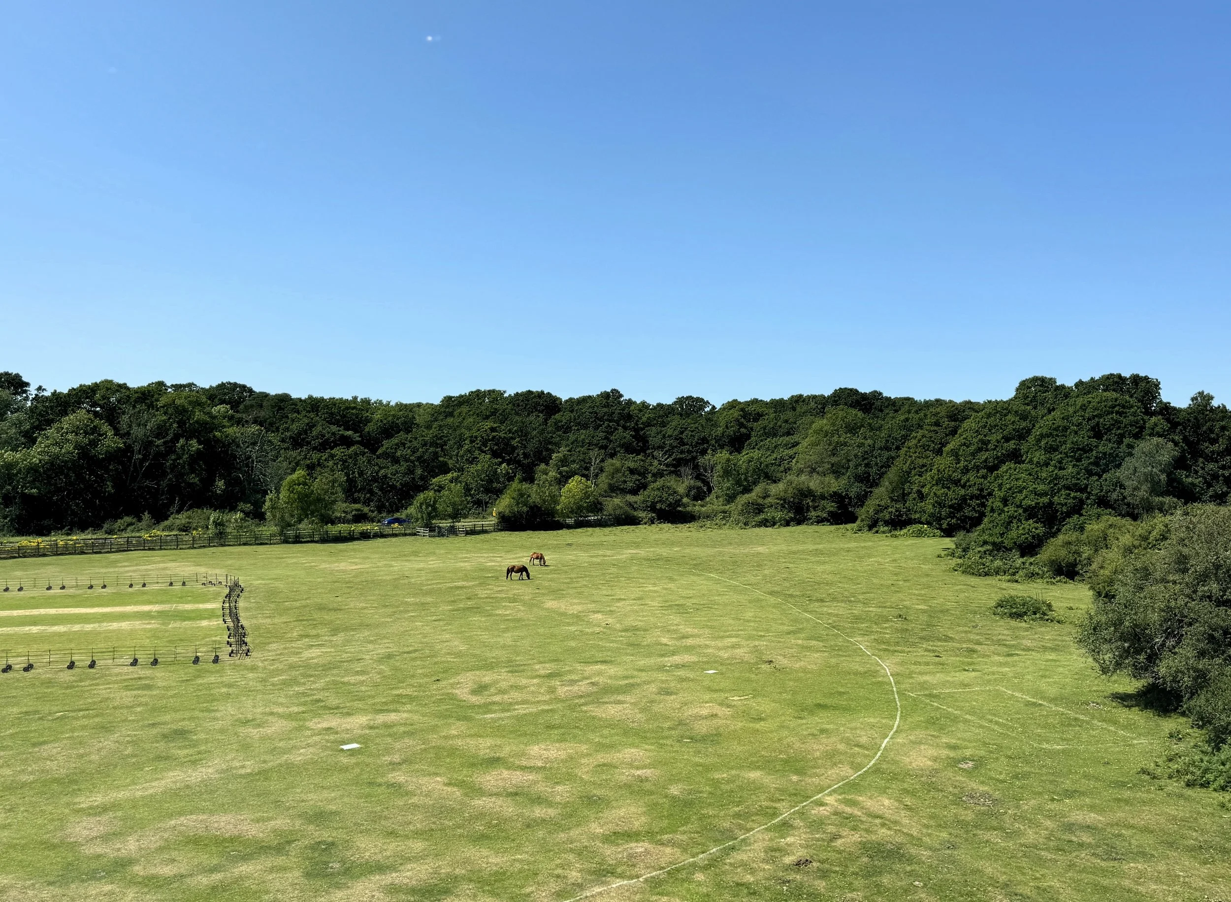 A wide green field with two horses grazing, surrounded by trees under a clear blue sky.