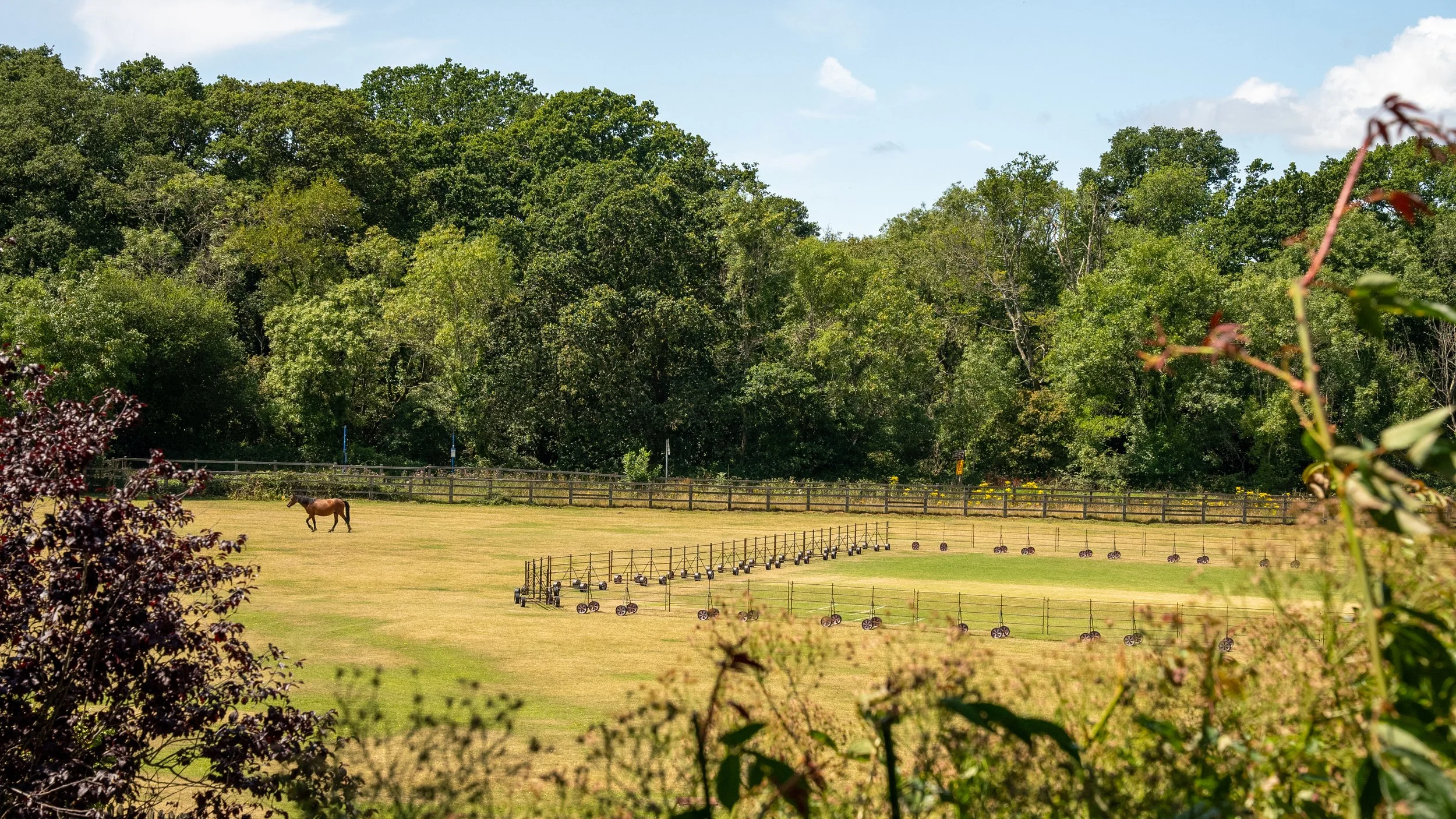 A horse grazing in a fenced grassy field with a line of trees in the background under a partly cloudy sky.