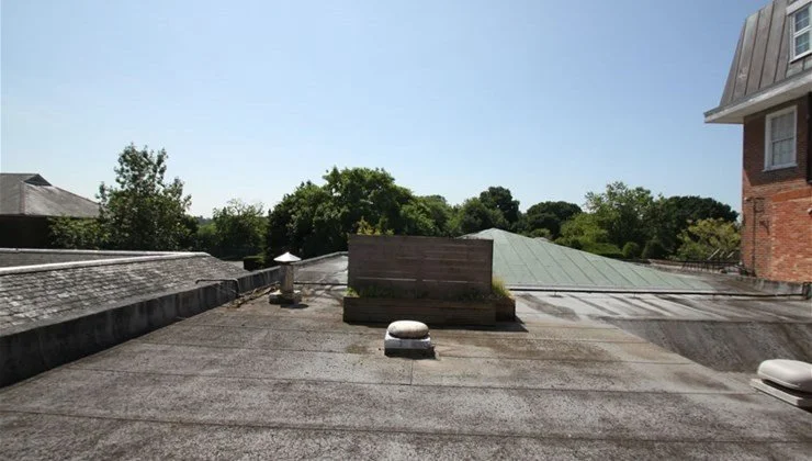 Rooftops with green trees and a blue sky in the background, showing a flat roof with vents and a wooden structure.