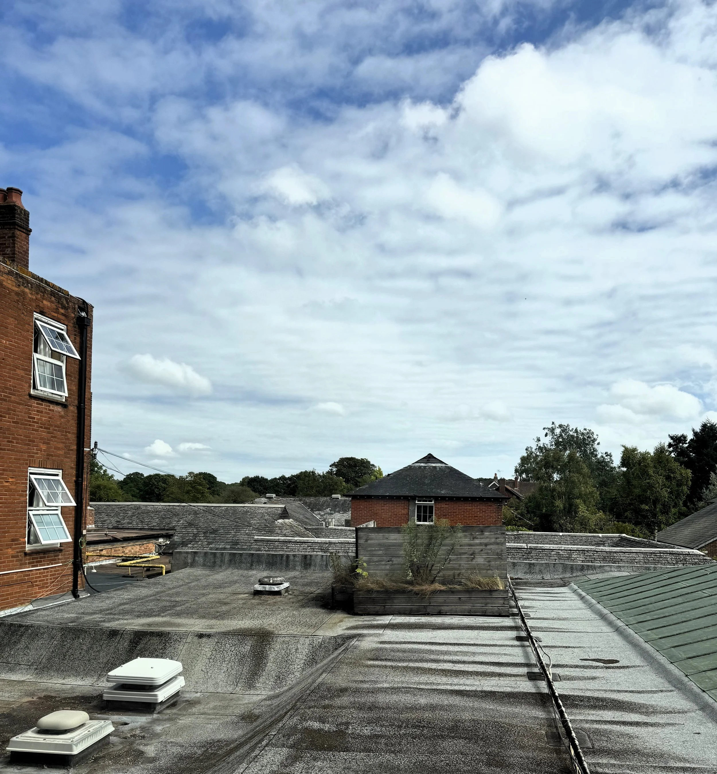 View of rooftops with some vents, a planter with plants, and a partly cloudy sky.