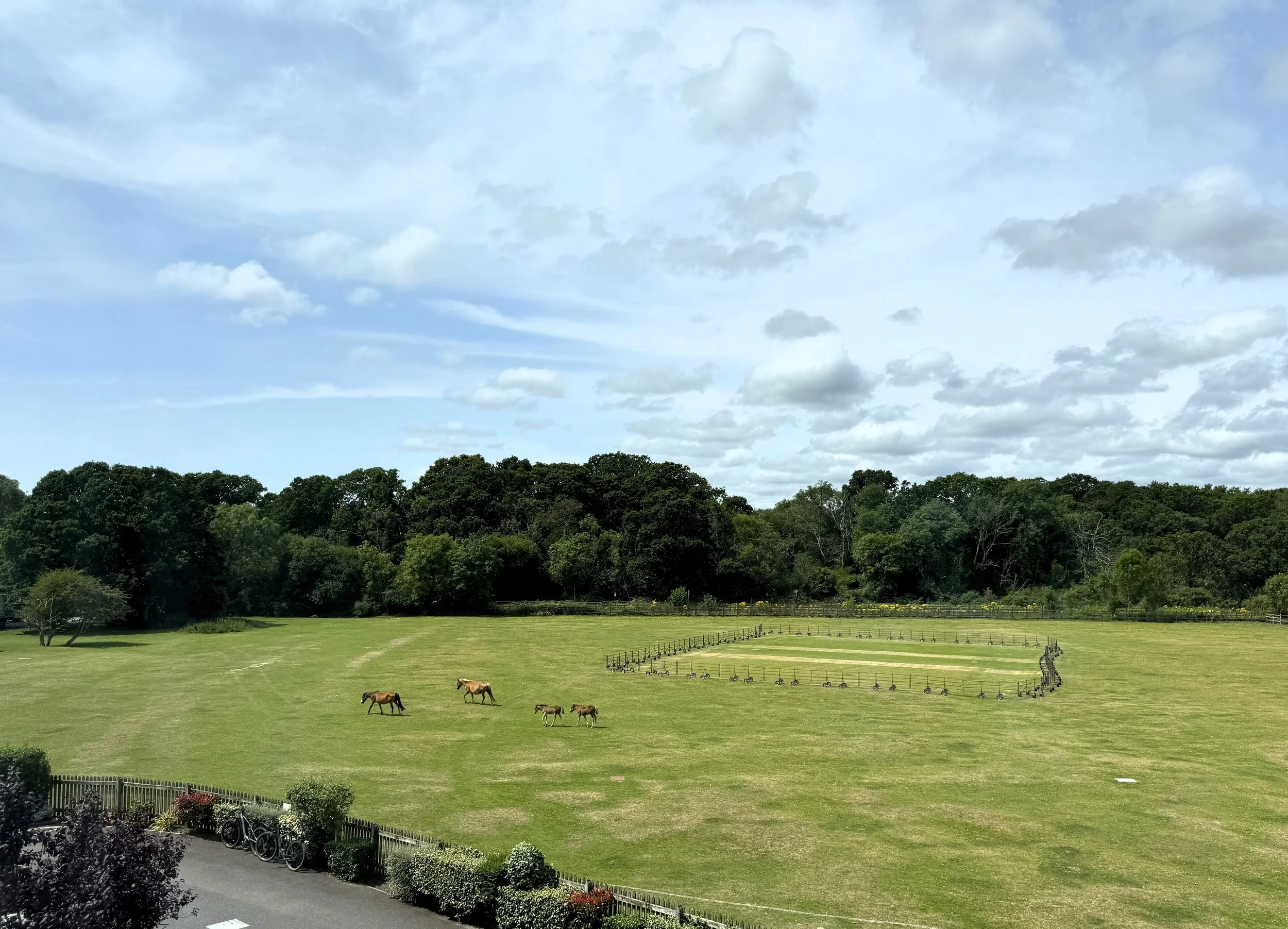 Open grassy field with a few horses grazing, a circular fence with small animals or objects inside, trees in the background, and a partly cloudy sky.