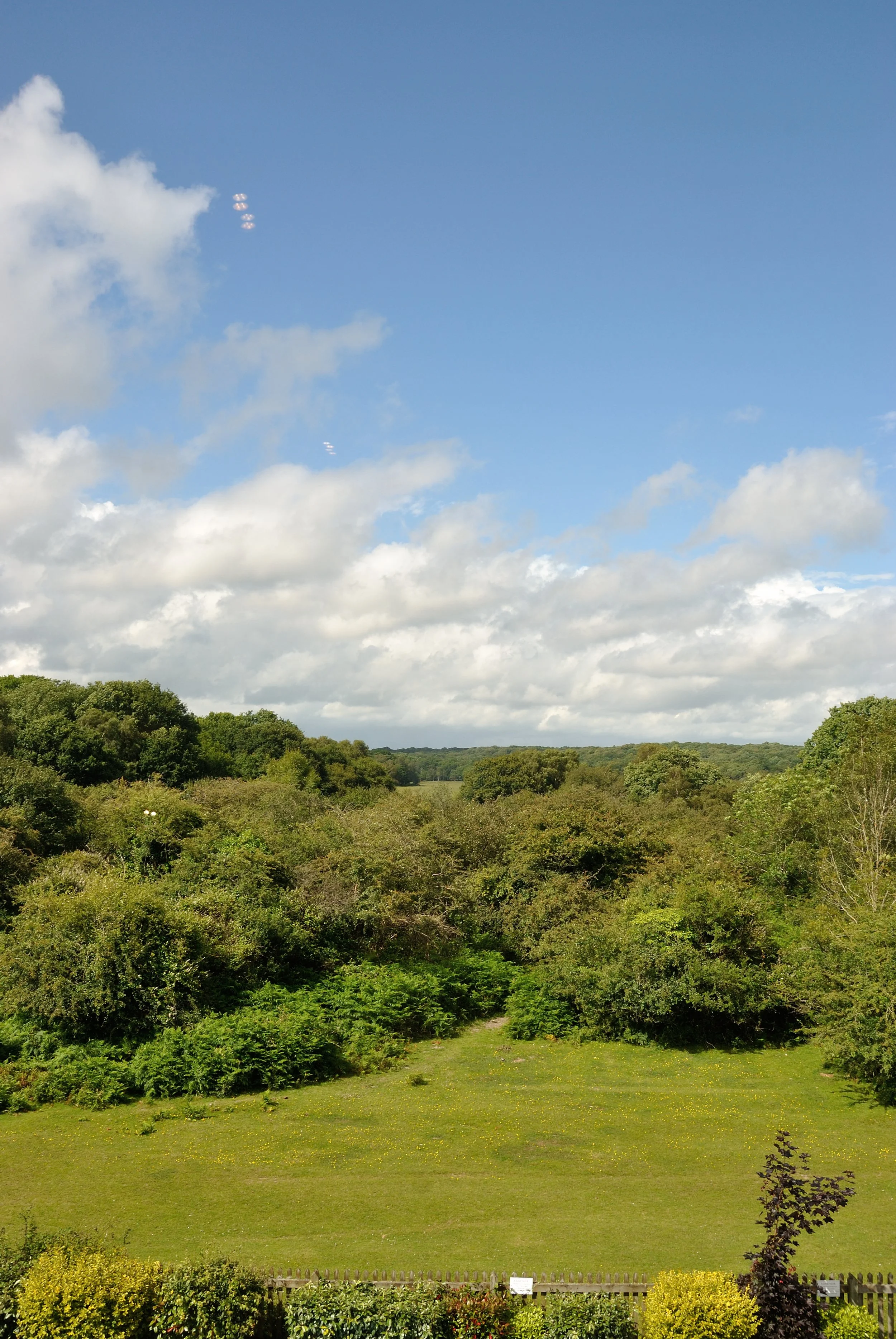 A scenic view of a green landscape with trees, bushes, and a grassy field under a partly cloudy blue sky.