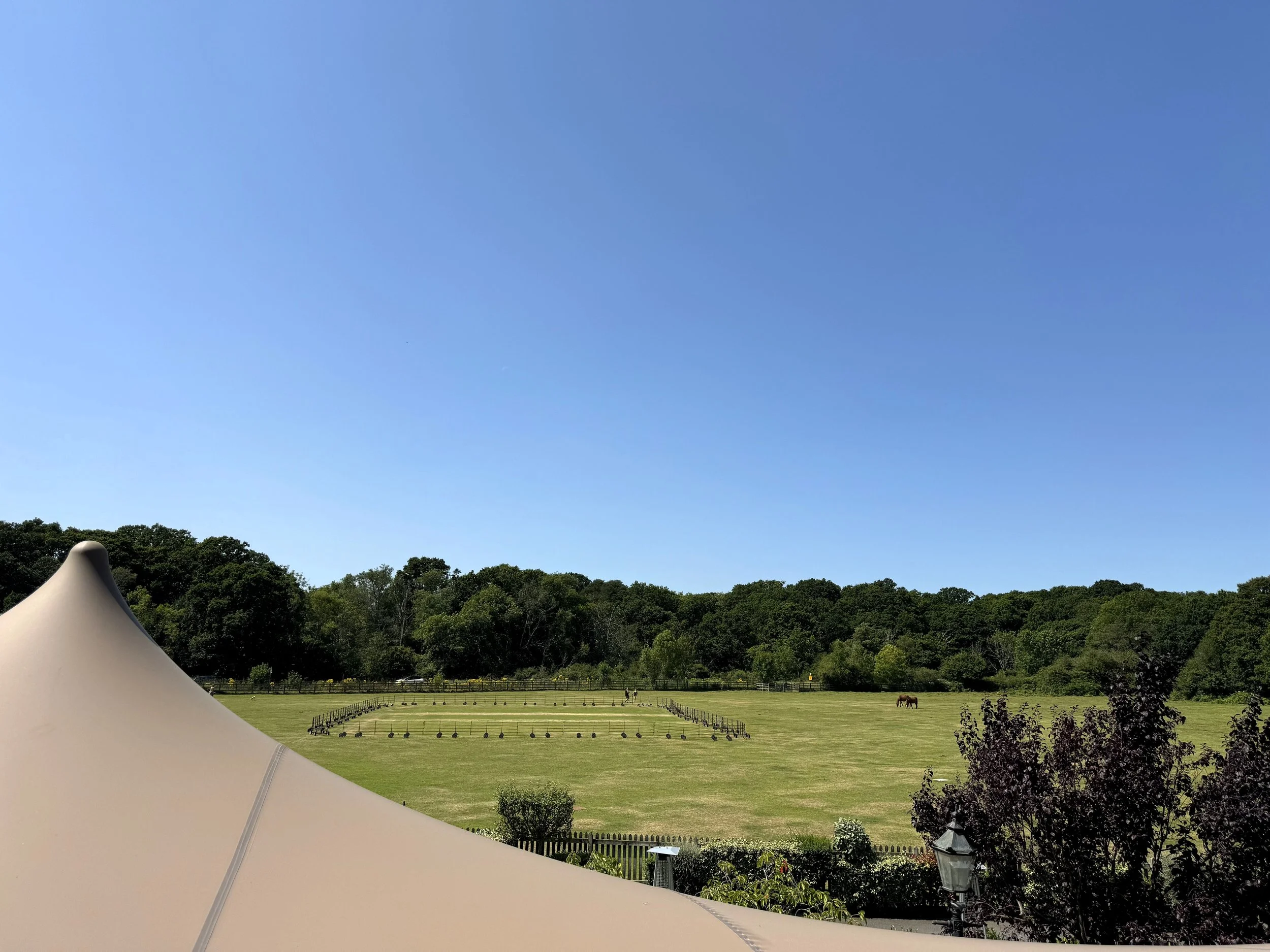 Wide view of a grassy field with horses grazing, surrounded by trees under a clear blue sky, with a beige tent in the foreground.