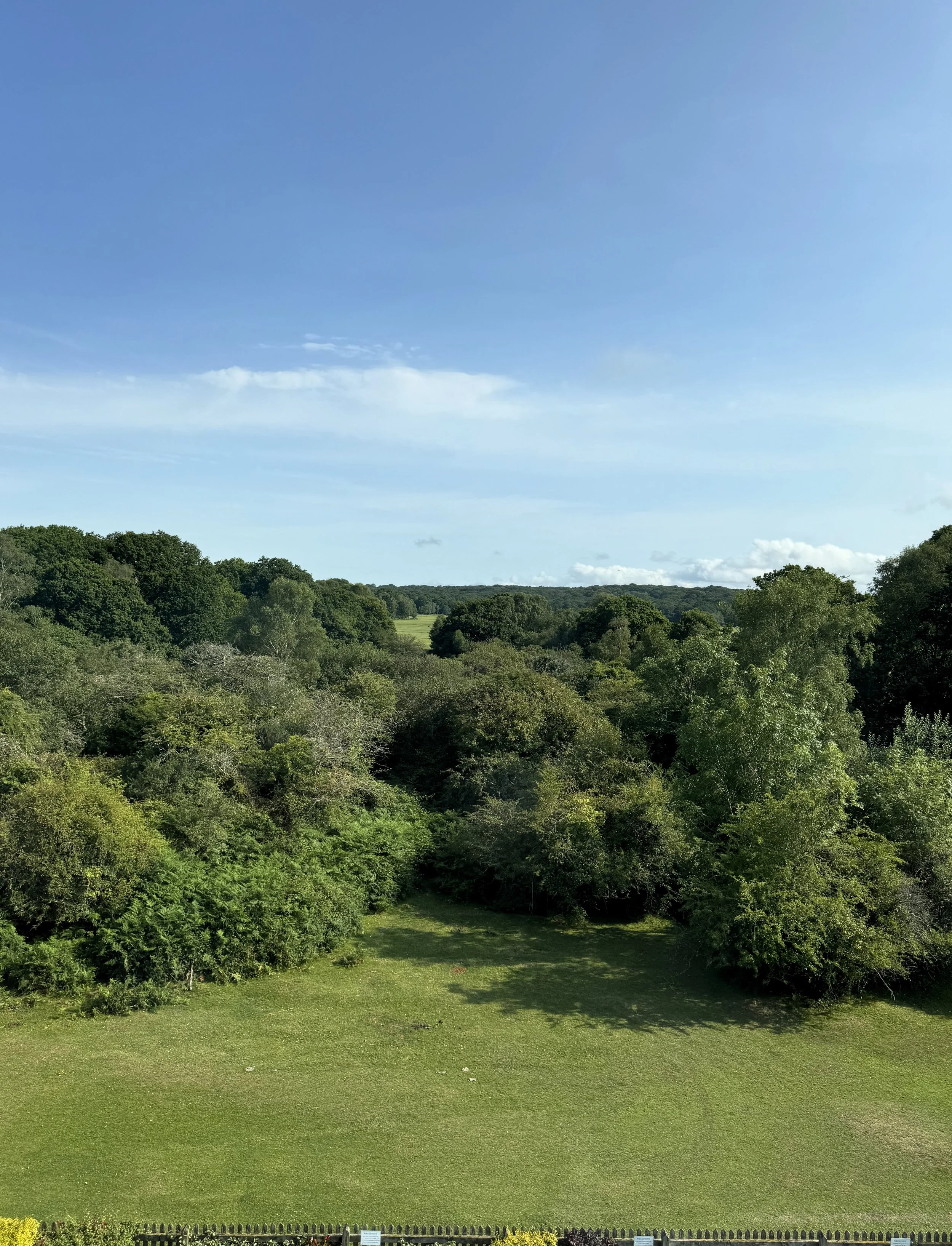 Scenic view of lush green trees over rolling hills under a clear blue sky.