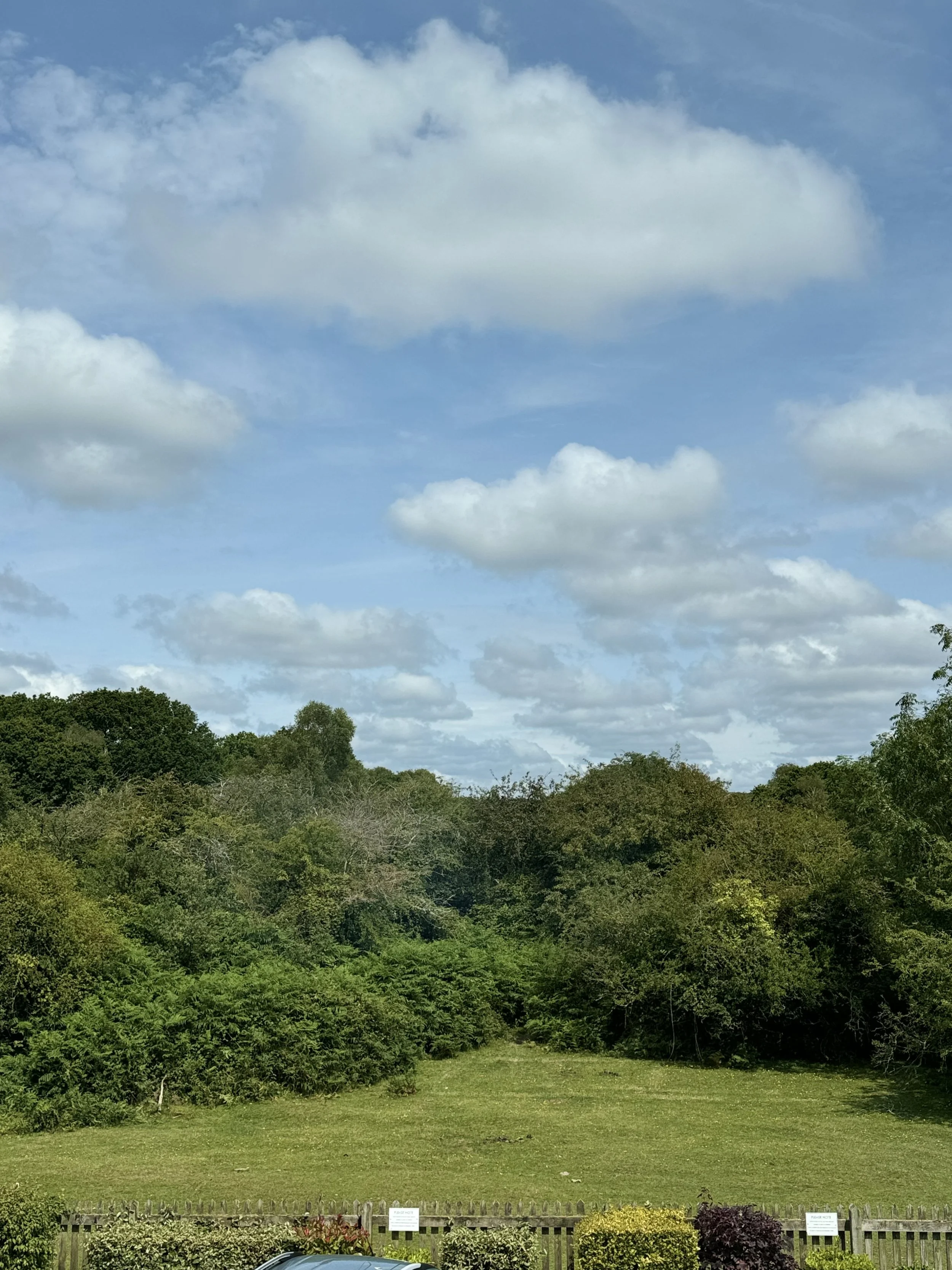Green grassy field surrounded by trees, with a wooden fence in the foreground and a partly cloudy sky above.