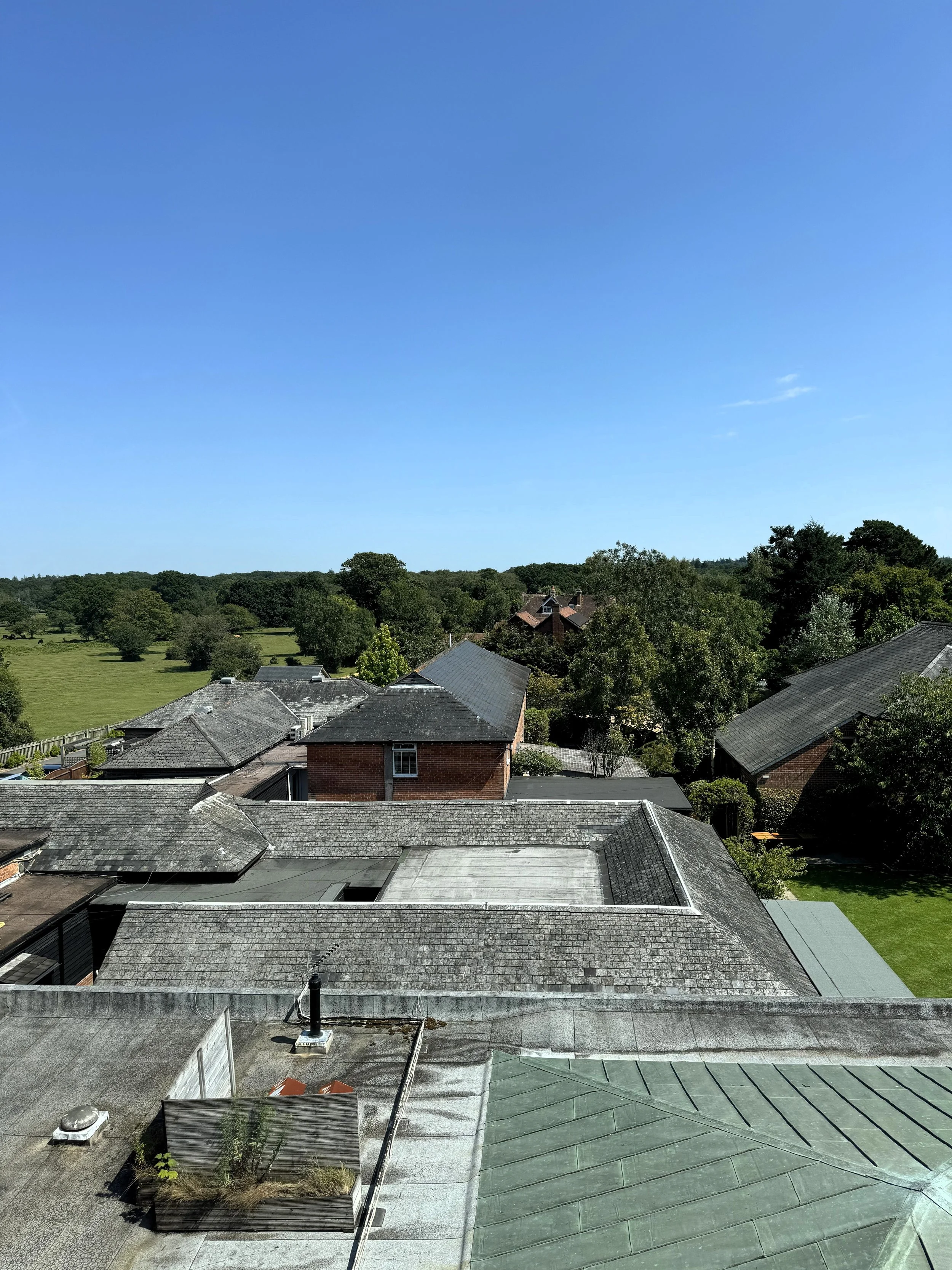 View of rooftops of houses with trees and a clear blue sky in the background.